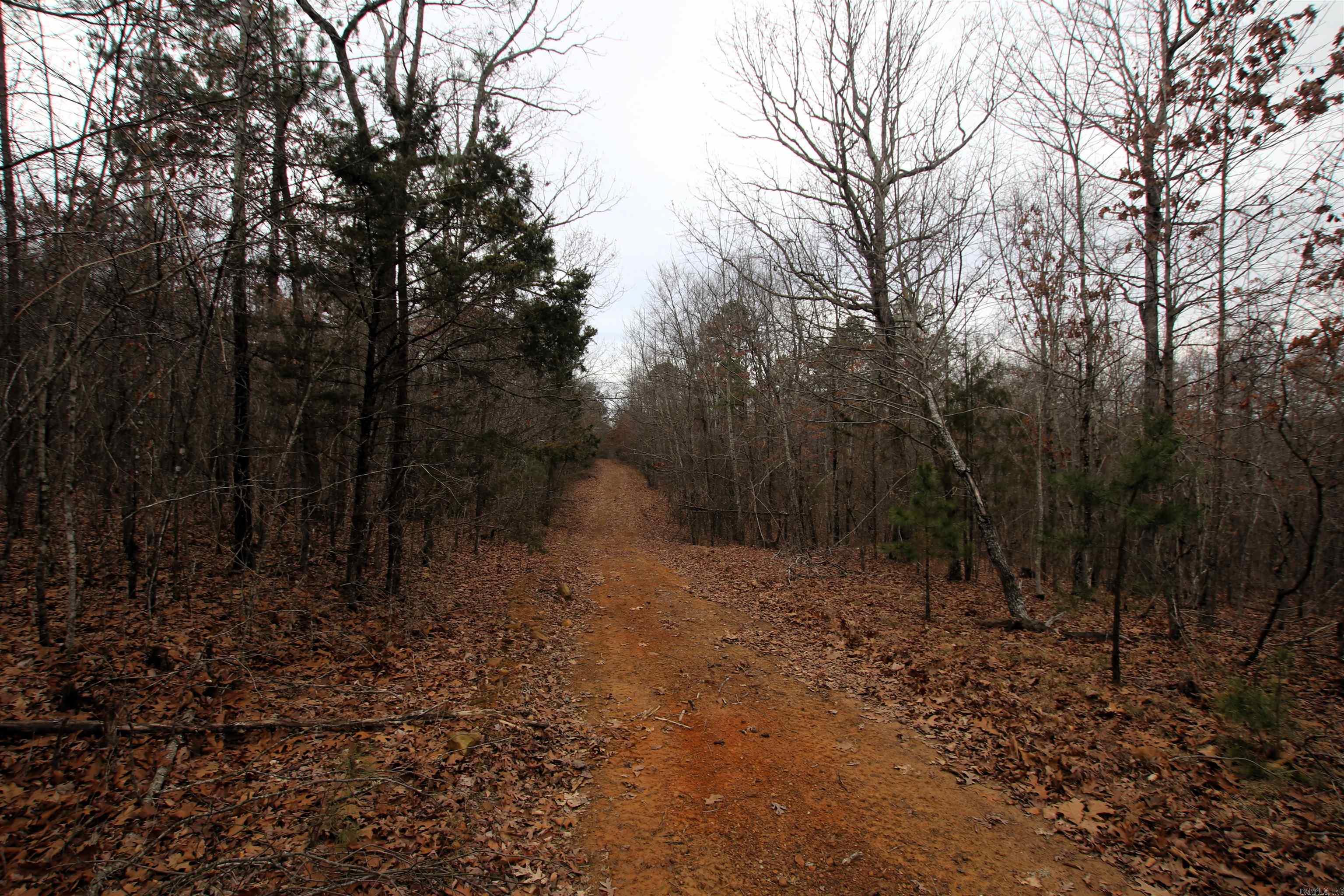 Not in Subdivision - Land