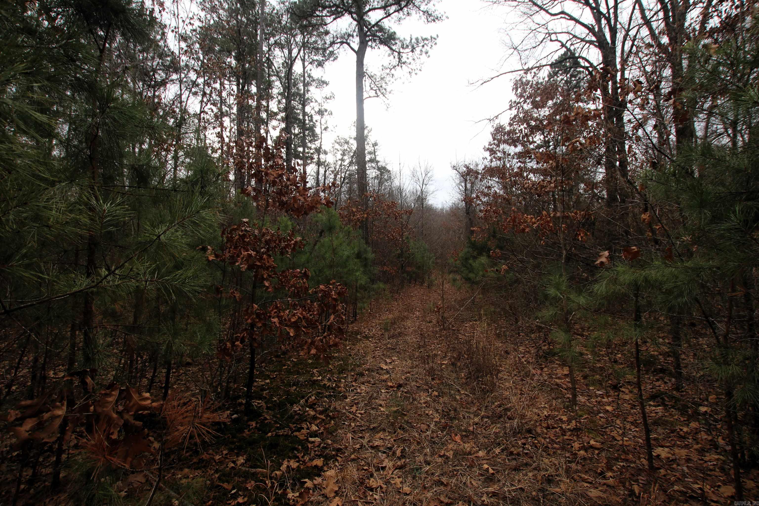 Not in Subdivision - Land