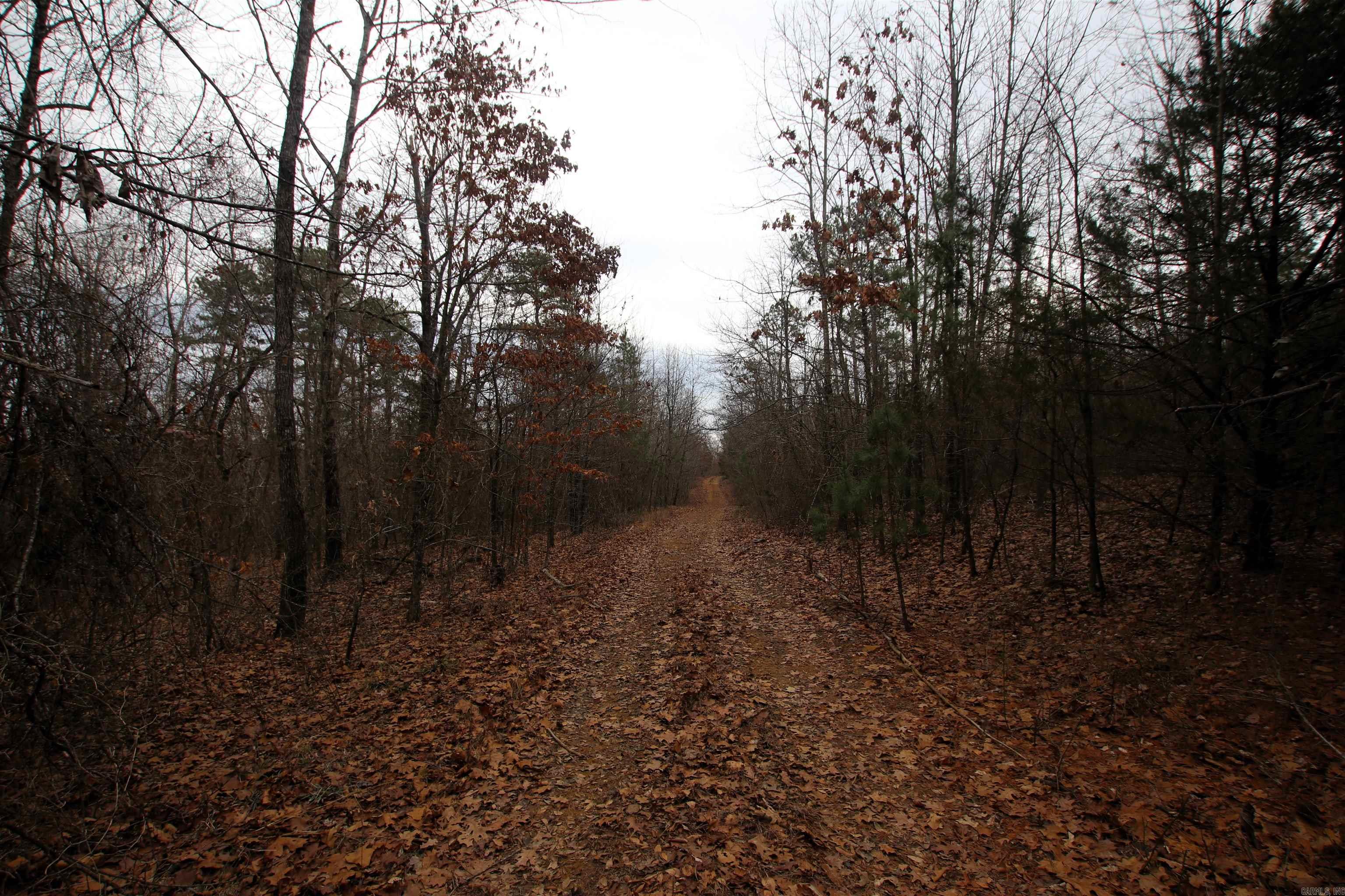 Not in Subdivision - Land