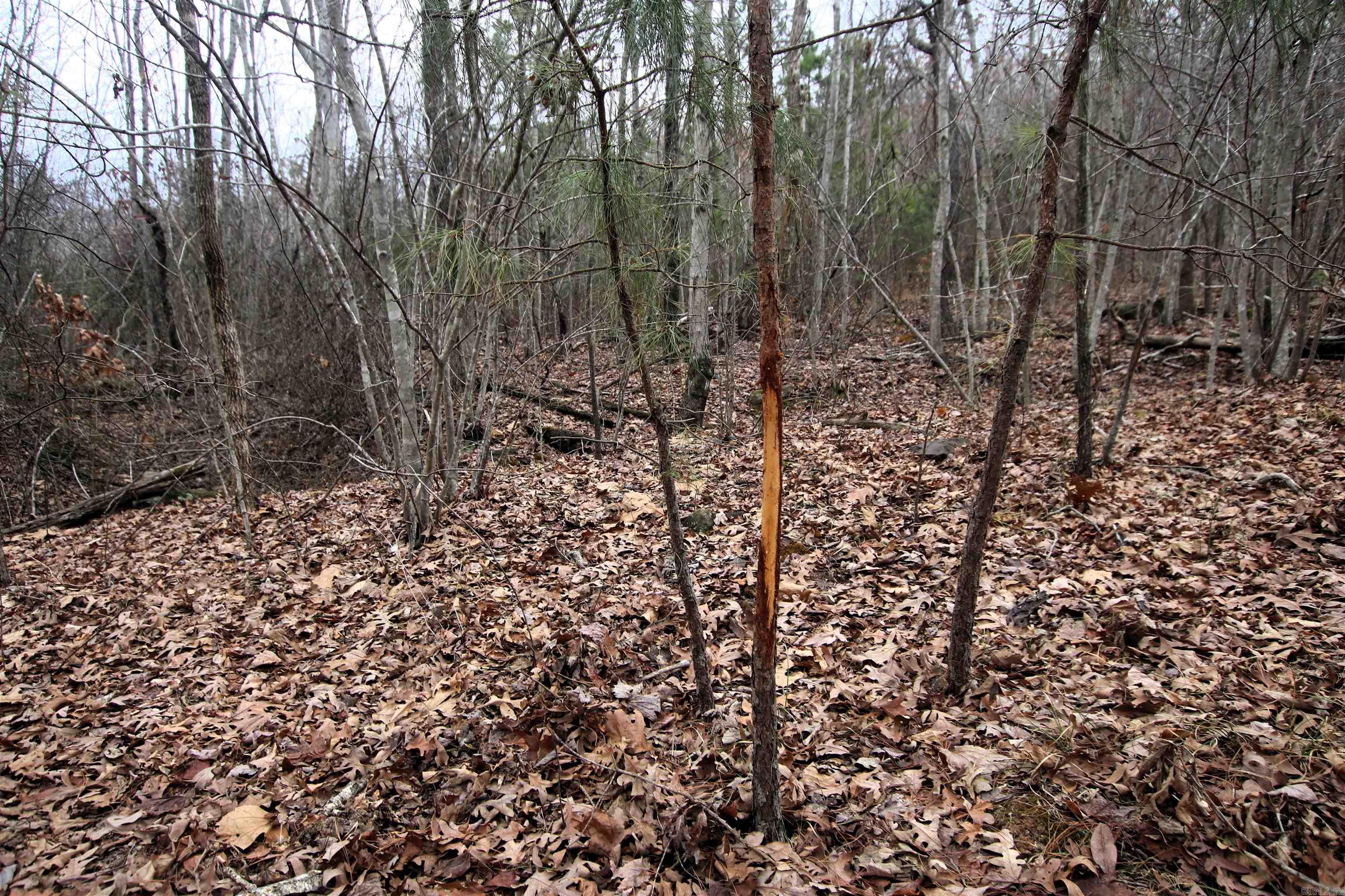 Not in Subdivision - Land