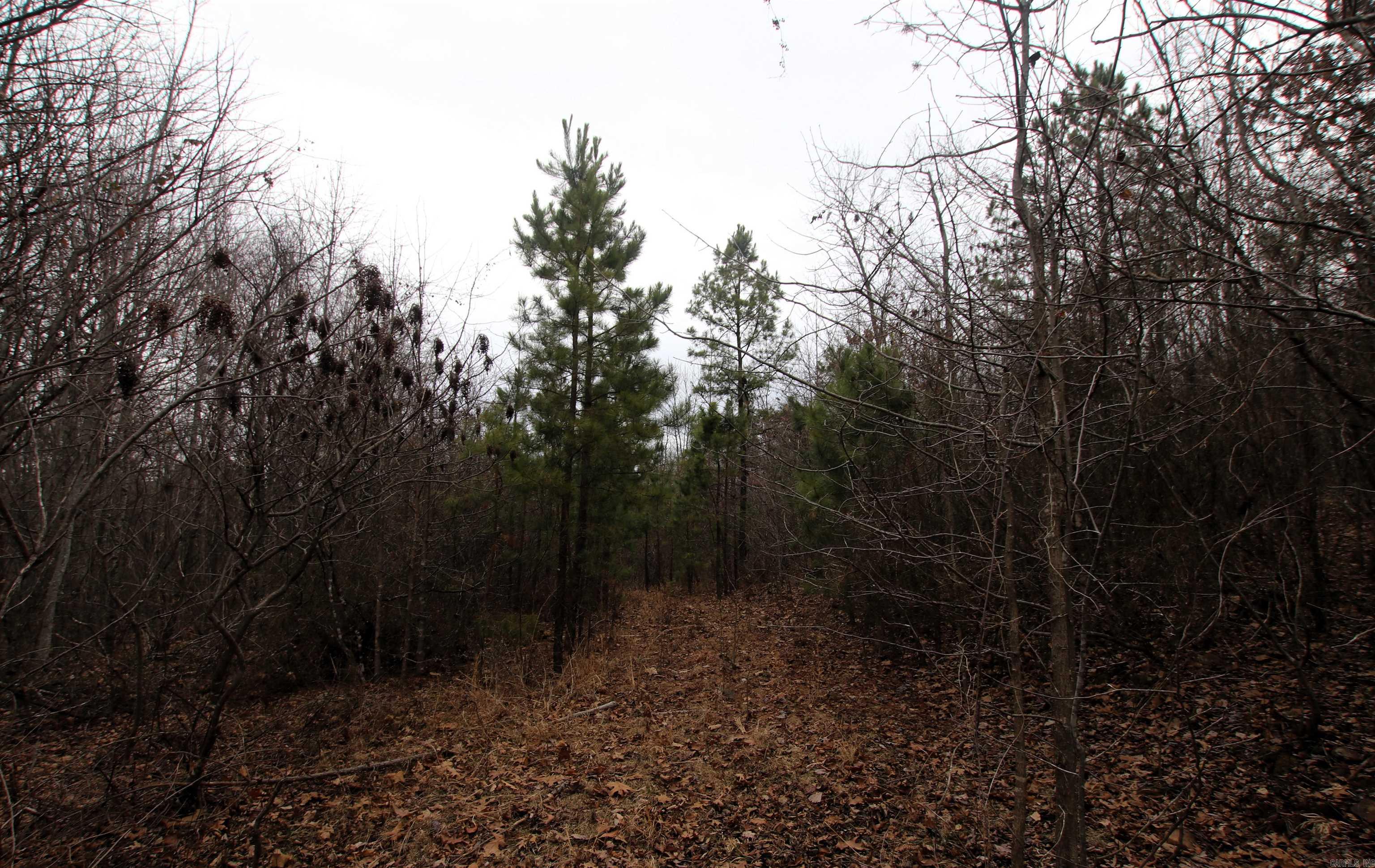 Not in Subdivision - Land