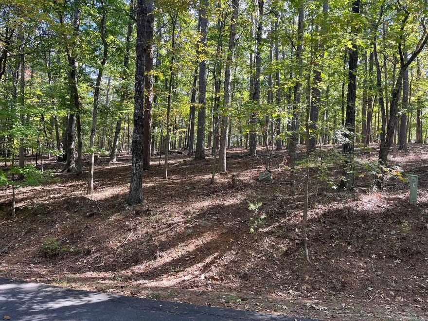 This residential lot is a strong opportunity to build your dream home or invest in one of Arkansas’s most sought-after communities. It sits inside the gated Hot Springs Village community, where you’ll have access to 11 recreational lakes, nine championship golf courses and more than 30 miles of walking trails, and well-kept fitness and tennis centers.  The setting offers natural beauty, quiet surroundings, and easy access to dining, shopping, and medical care. It works well for a full-time home, a vacation place, or a long-term investment.