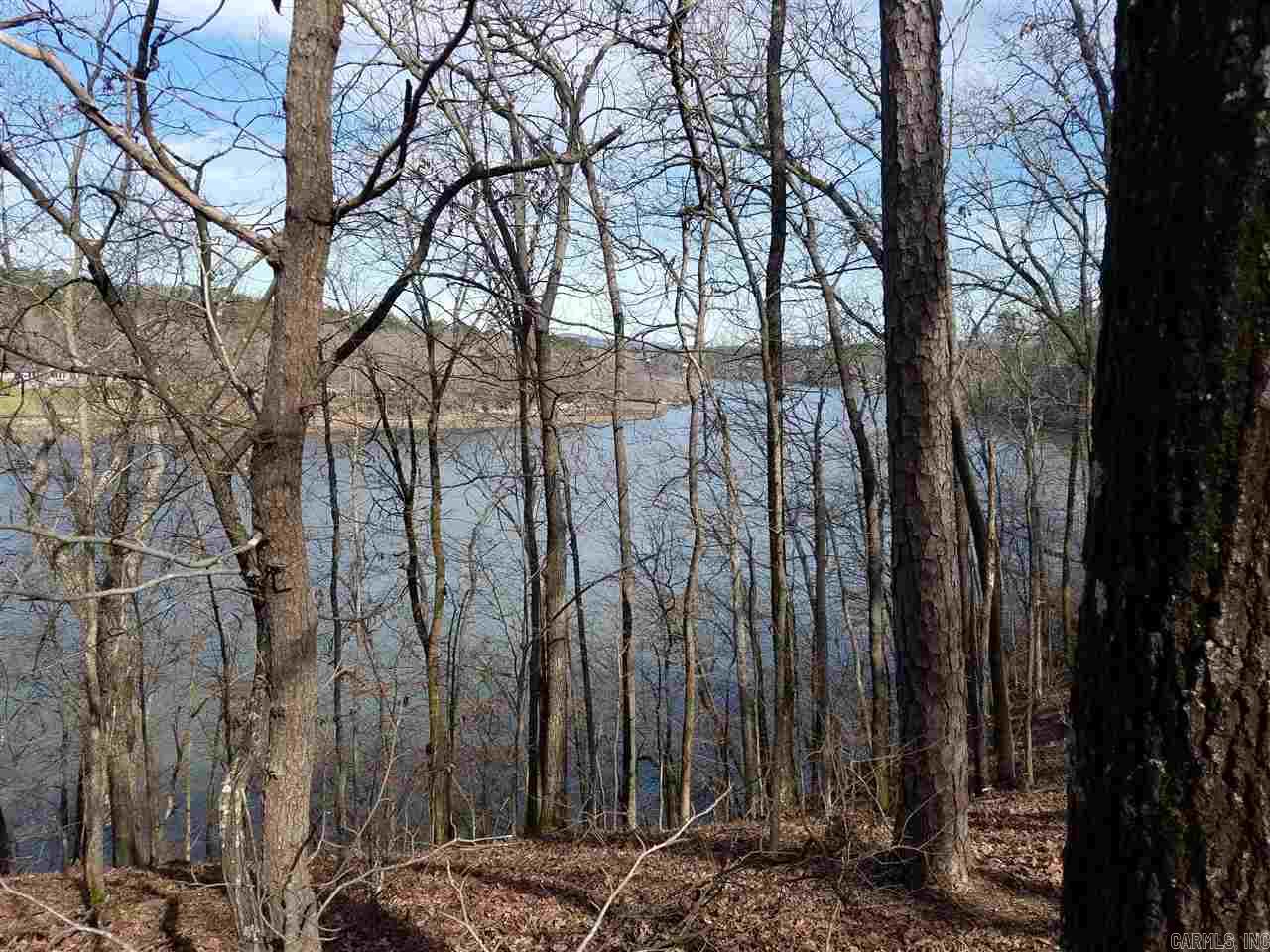 Gorgeous vista views of Lake Catherine! NO POA DUES UNTIL YOU BUILD!!! Boat slip at nearby marina will convey! Come live the vacation life FULL TIME! Lakeside school district. Gated community with an 18 hole golf course, Olympic size swimming pool, clubhouse w/ Bar& grill, tennis court, basketball court, disc golf course, picnic pavilion, workout facility, banquet room, , boat launch/lake access points. Boat slip at marina to convey (dock 4, slip 19 --RPID 115940)