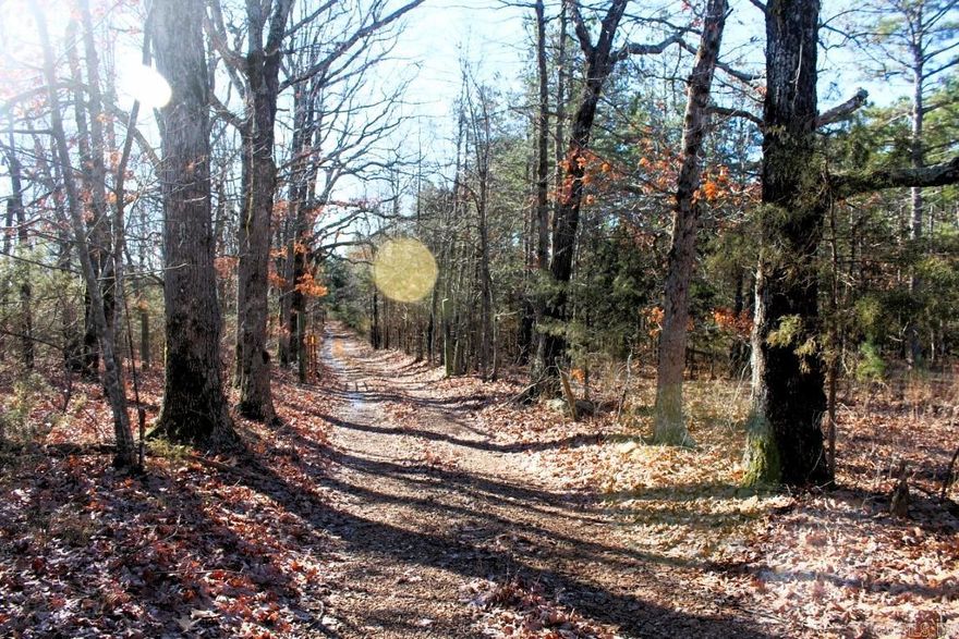 No 02348  Escape to nature on this 40-acre parcel not far from Mountain View, Arkansas, tailor-made for outdoor enthusiasts and dream home seekers alike. Whether you're an avid hunter, nature lover, or someone looking to build their dream home, this property has it all! Abundant wildlife, existing food plots, trophy bucks, perfect for the avid hunter. Ideal for building your dream home, the mostly level terrain offers multiple building sites. Embrace the tranquility and beauty of nature right at your doorstep. Enjoy side x side trails for rides and exploration. The possibilities for outdoor activities are endless, making this property a haven for recreation enthusiasts. Two ponds add to the allure of this property, providing scenic views and plenty of water to keep all the wildlife happy. A wet weather creek enhances the natural charm. The short drive from the county road make access a breeze, ensuring both convenience and peaceful seclusion. Public water and power are on site, along with a triple carport, and an older mobile home that comes with the property at no additional value, providing potential for renovation or removal based on your vision. $220,000