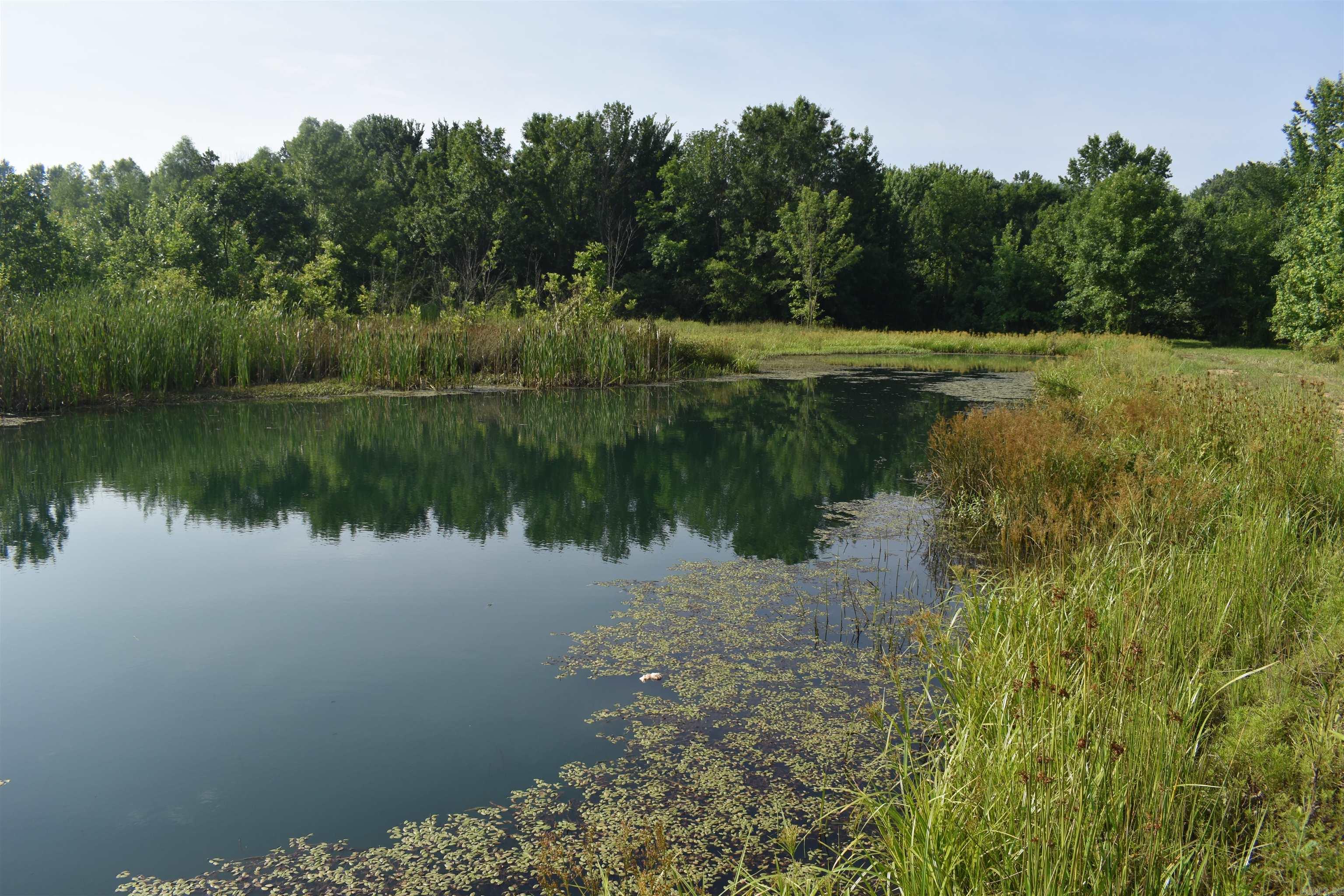 Metes & Bounds - Land