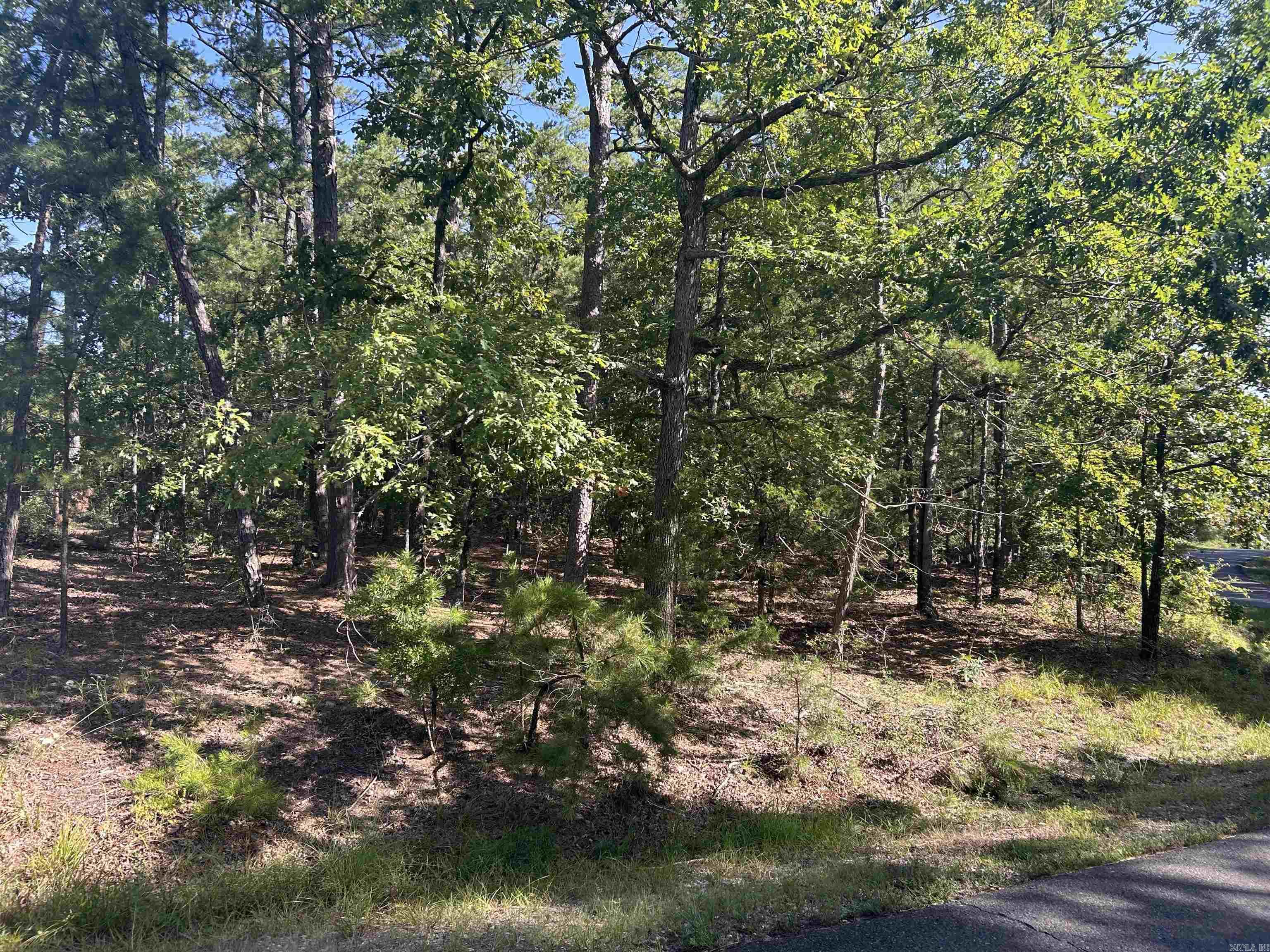 Attention Builders and those who are looking for a wonderful place to build your new home! Come check out these very nice flat lots in an excellent area of the Village, near Lake Balboa and many Hot Springs Village amenities! Corner lot(s) that may allow for side entry garage near many lovely homes close to the lake.