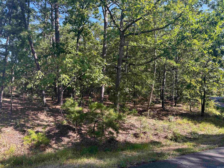 Attention Builders and those who are looking for a wonderful place to build your new home!  Come check out these very nice flat lots in an excellent area of the Village, near Lake Balboa and many Hot Springs Village amenities! Corner lot(s) that may allow for side entry garage near many lovely homes close to the lake.