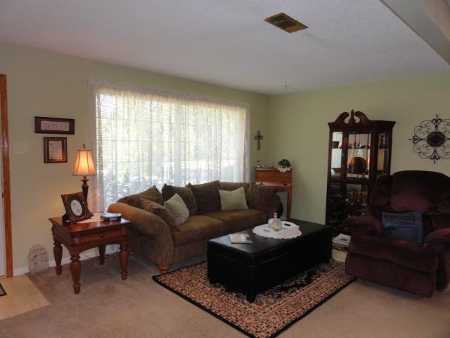 Pine Forest - Residential