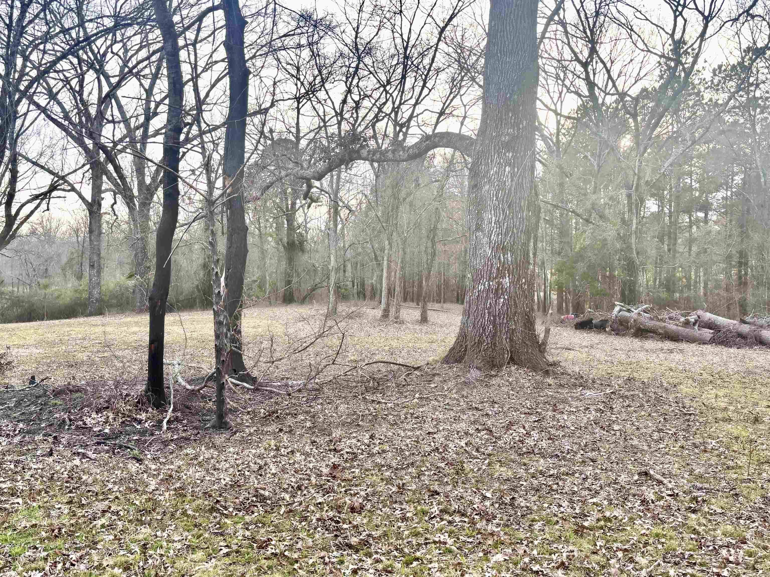 D & M Estates - Land