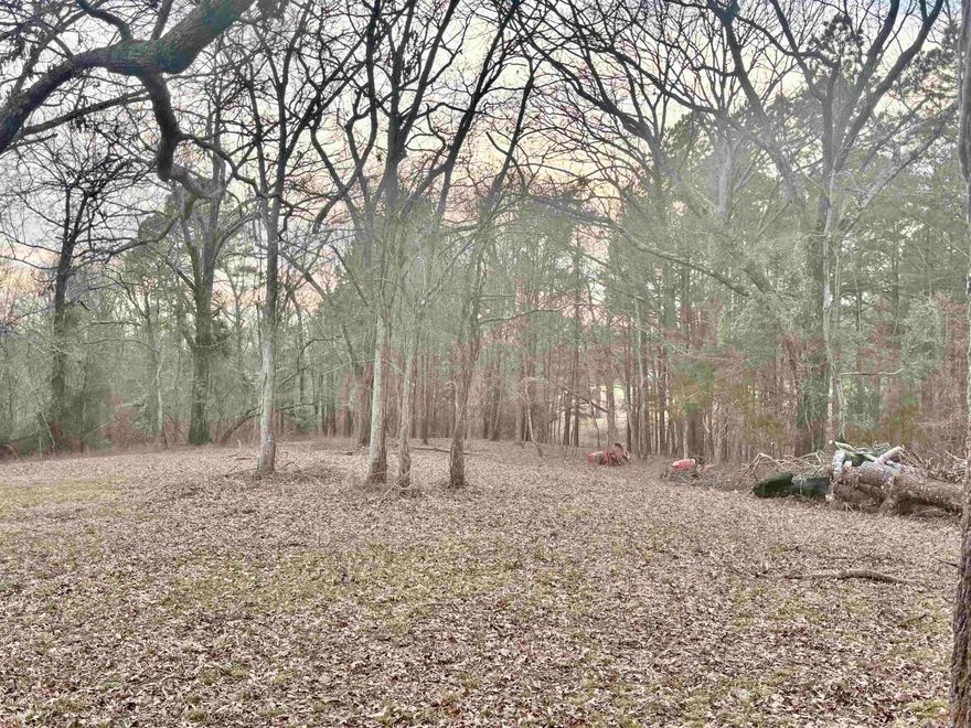 1.65 acres, mostly cleared and ready to build, level and has some mature hardwoods.  On a quiet, dead end street and less than 4 miles from Lake Hamilton Schools and a short drive to downtown Hot Springs.