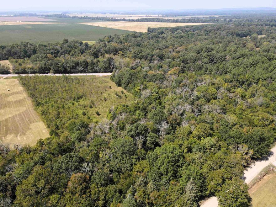 7.25 +/- acres - Highway frontage - Mature mixed timber with a variety of pine, oak, and hickory trees - Deer and other small game - County road frontage - Rural water, electricity, and fiber optic on the property - Wet weather creek - Numerous build sites  - 3.33 +/- acres of pasture - 12 miles to Conway - 22 miles to West Little Rock