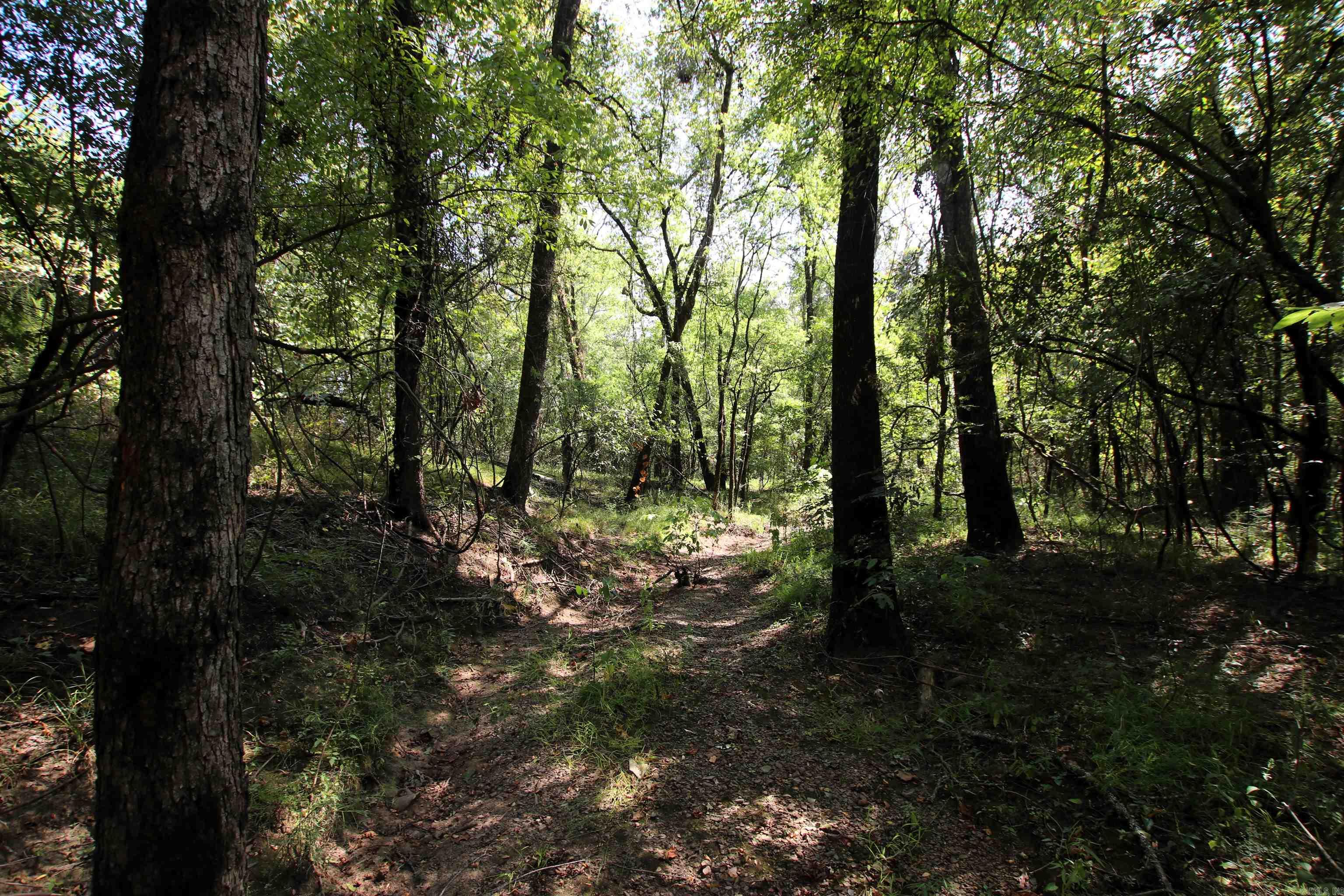 Not in Subdivision - Land