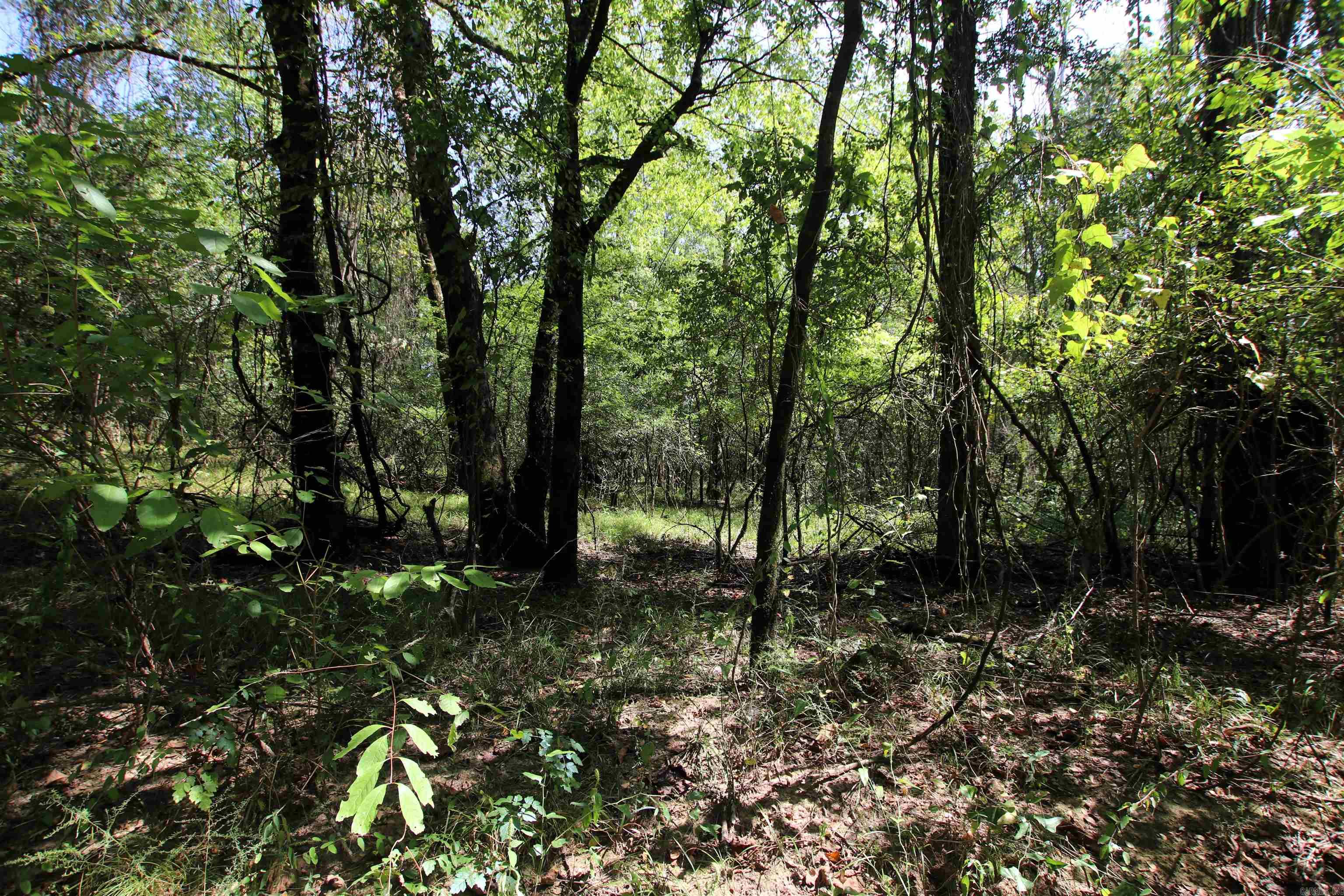 Not in Subdivision - Land