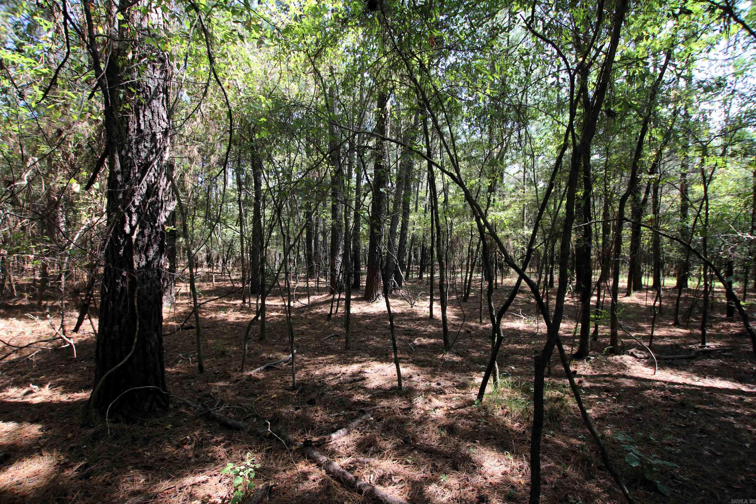 Not in Subdivision - Land