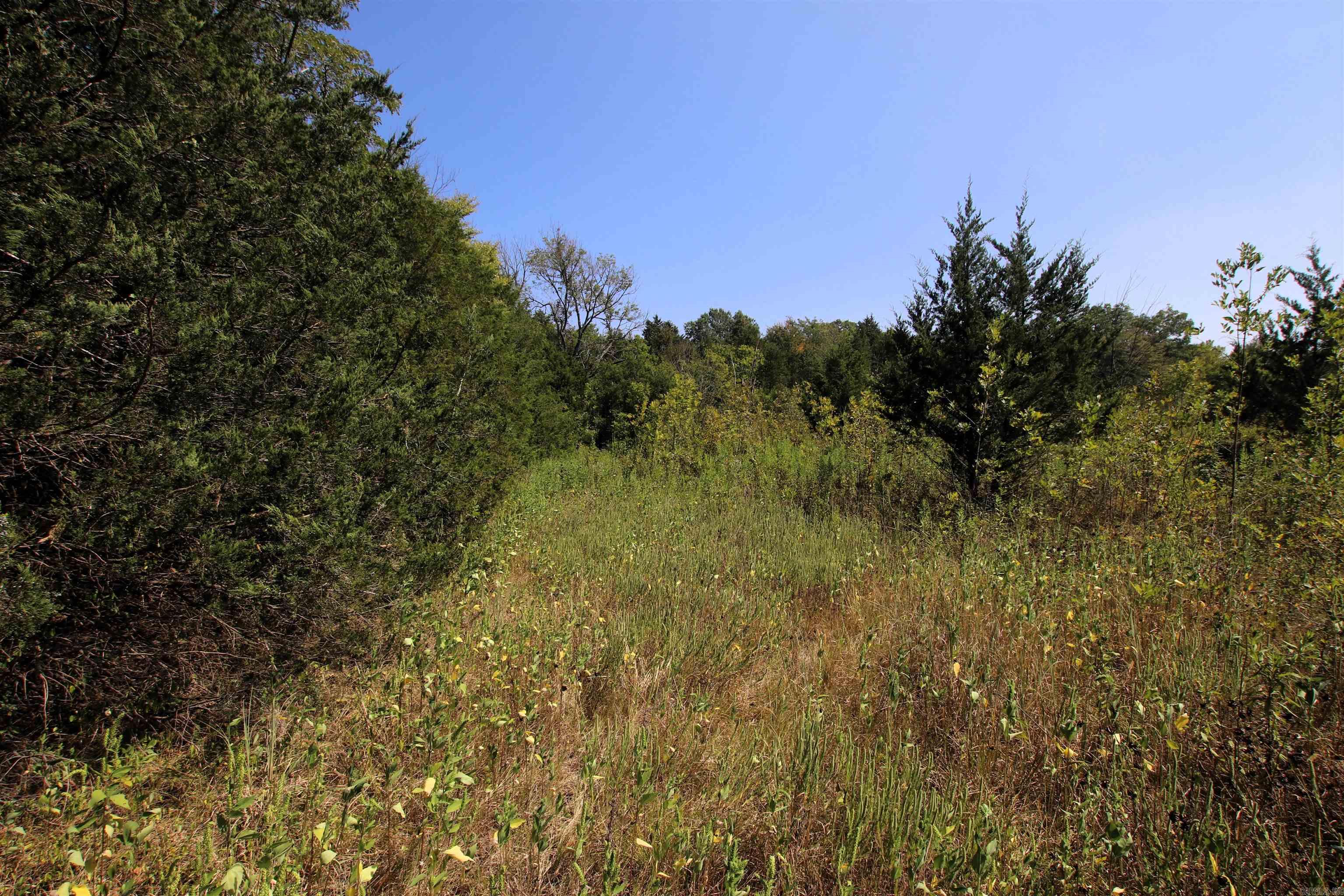 Not in Subdivision - Land