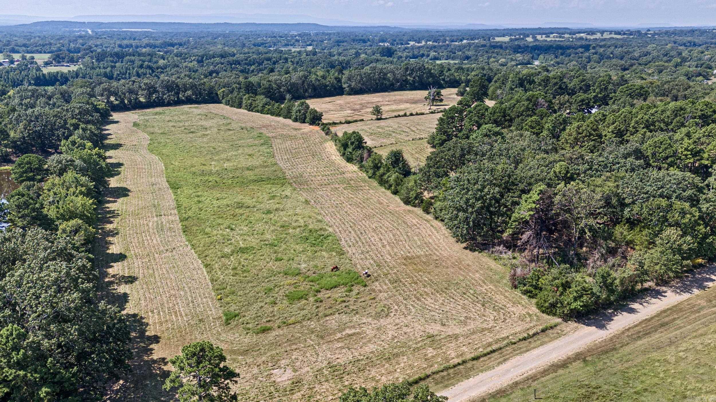 CLARKSVILLE REAL EST - Residential