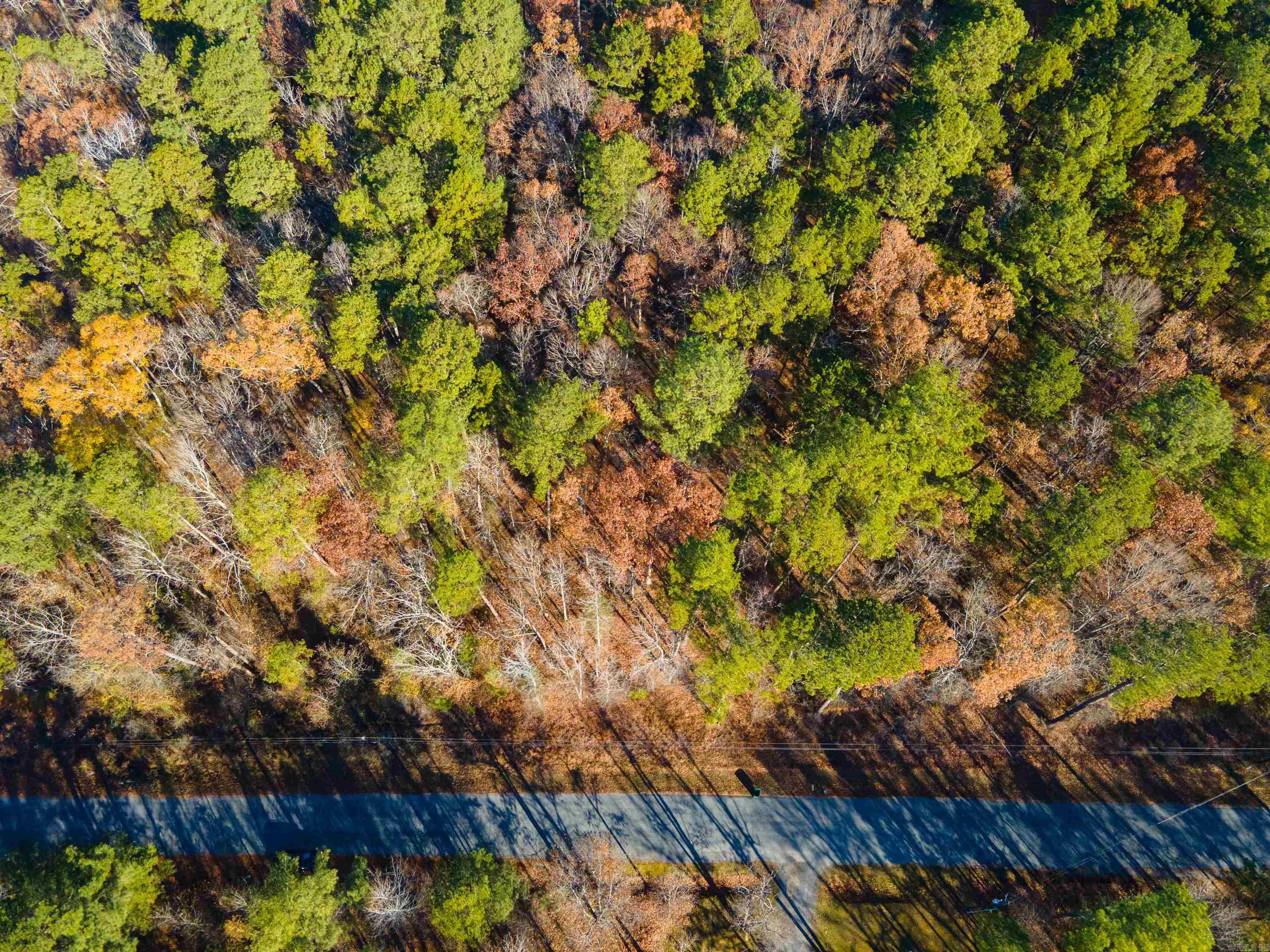 North Shore Oaks - Land