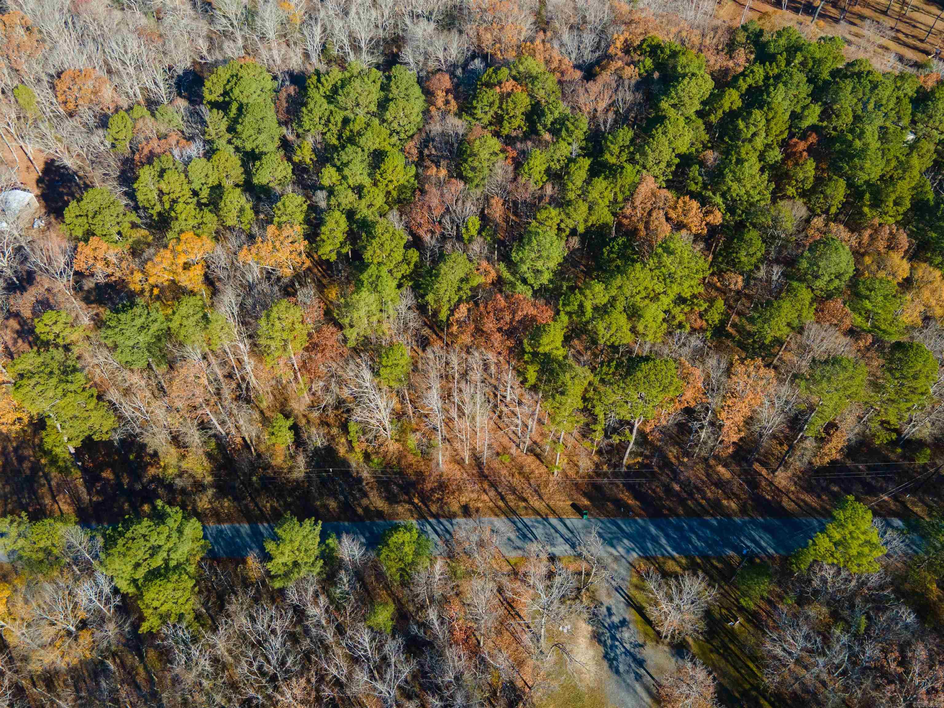 North Shore Oaks - Land