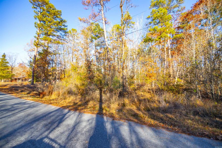 Wooded 2.4 acres- waiting for your dream home. Located in quiet North Shore Oaks subdivision in Roland. Great location – away from all the traffic, but only10-15 minutes from shopping, eatries and entertainment. Plus just a short walk to Lake Maumelle. The best of both worlds.
