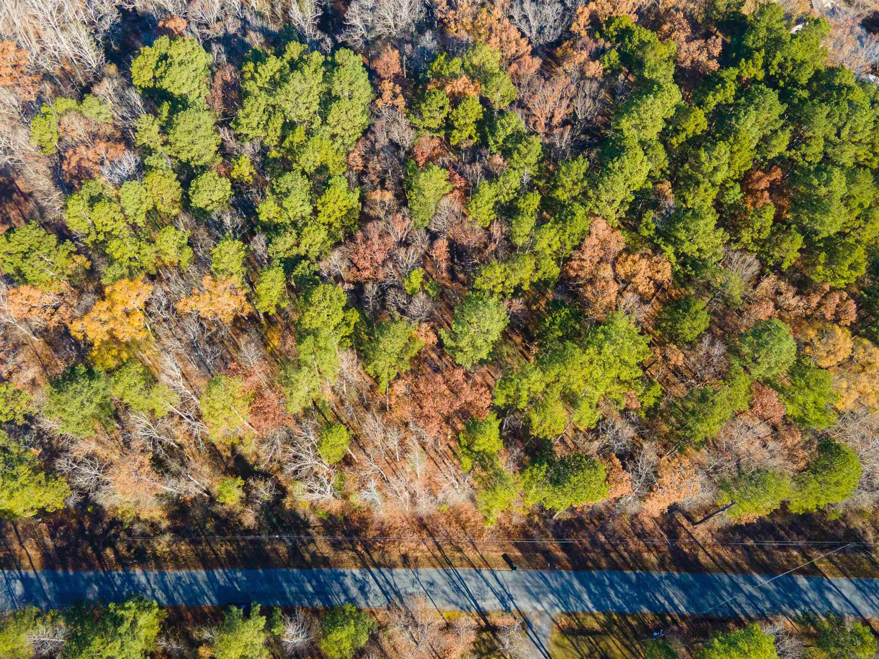 North Shore Oaks - Land