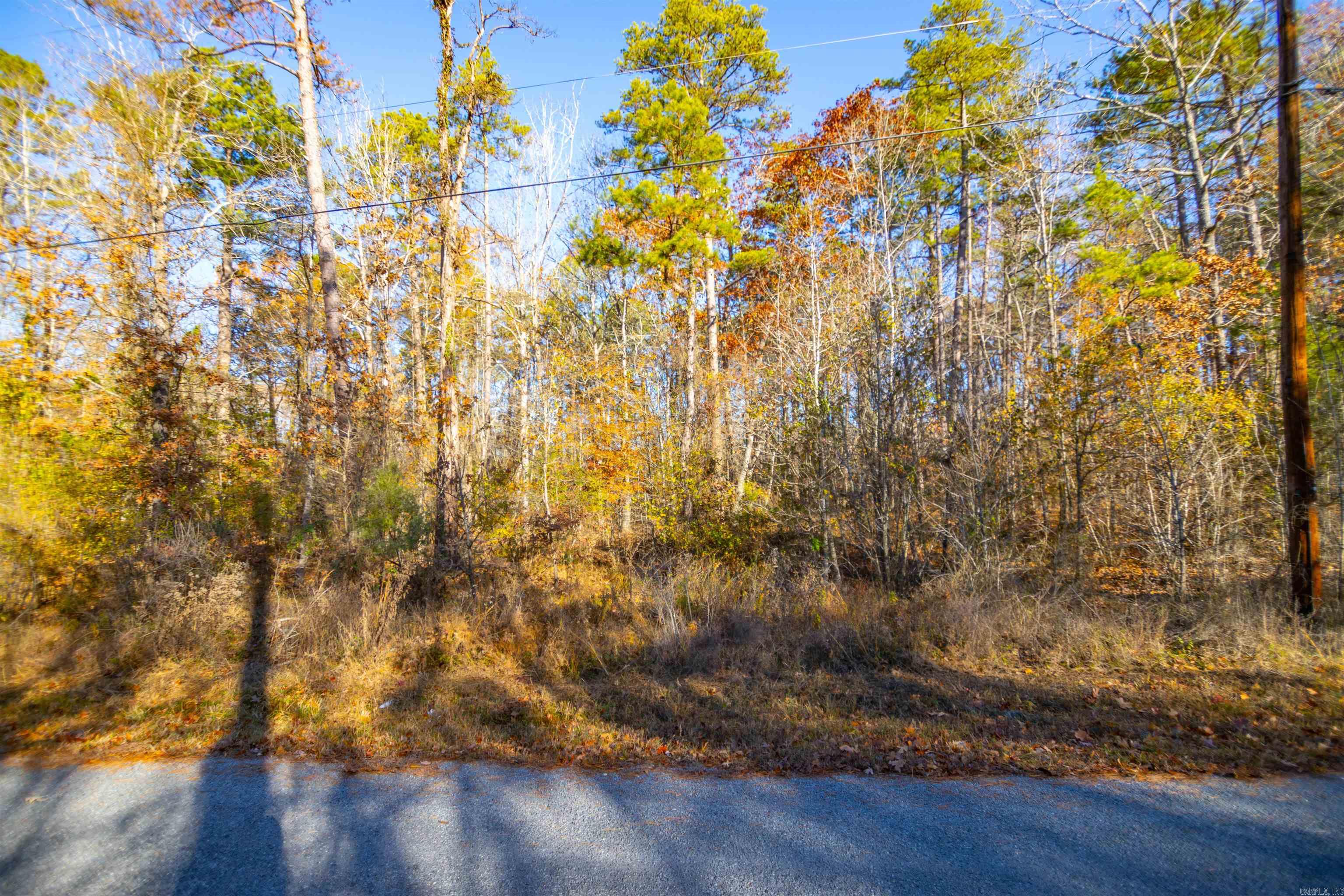 North Shore Oaks - Land