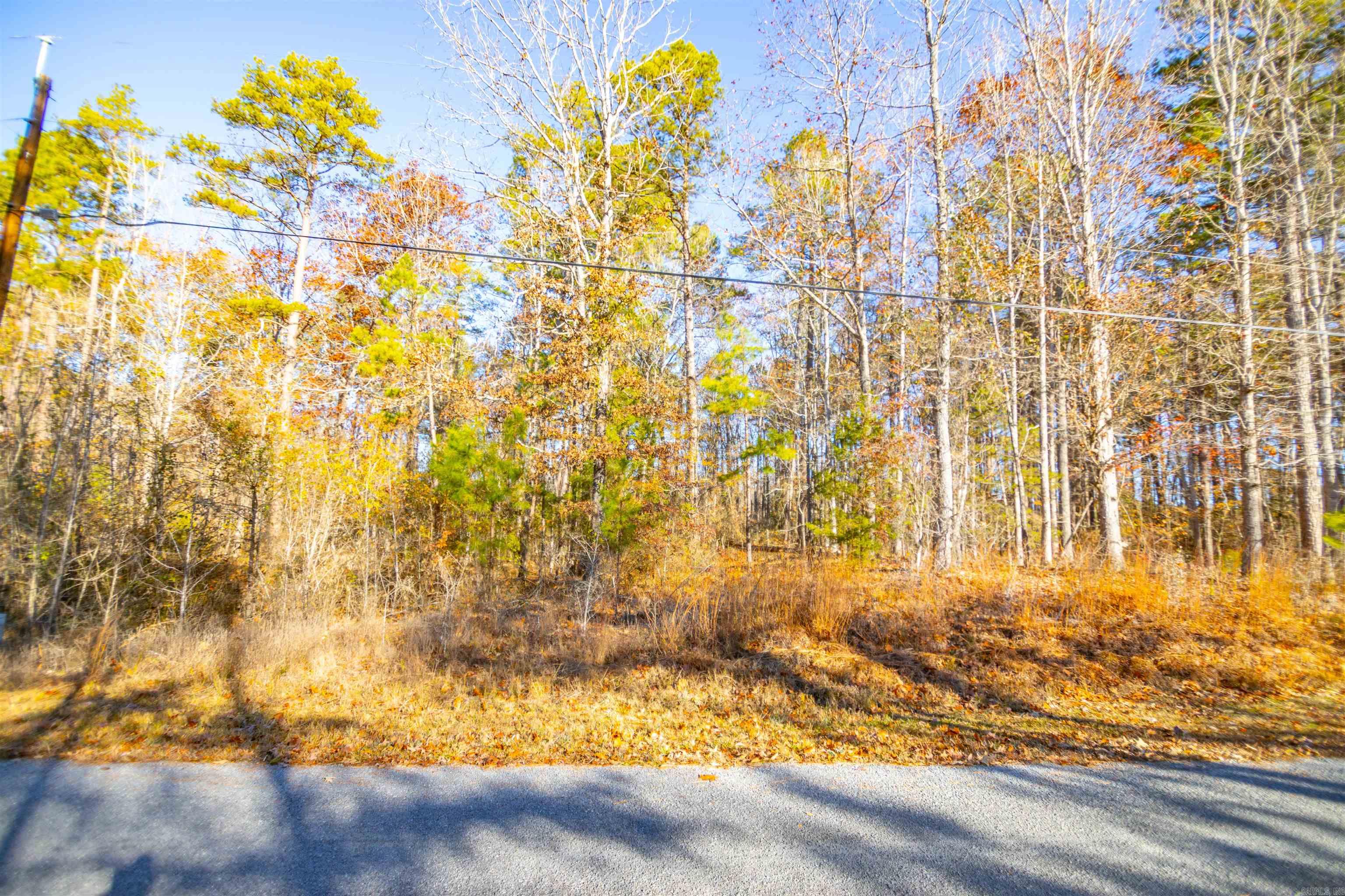 North Shore Oaks - Land
