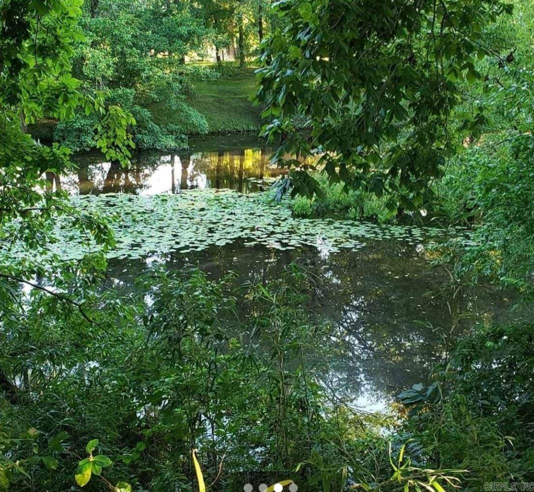 Oxbow Landing II - Land