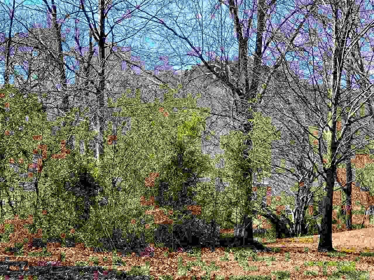 Oxbow Landing II - Land