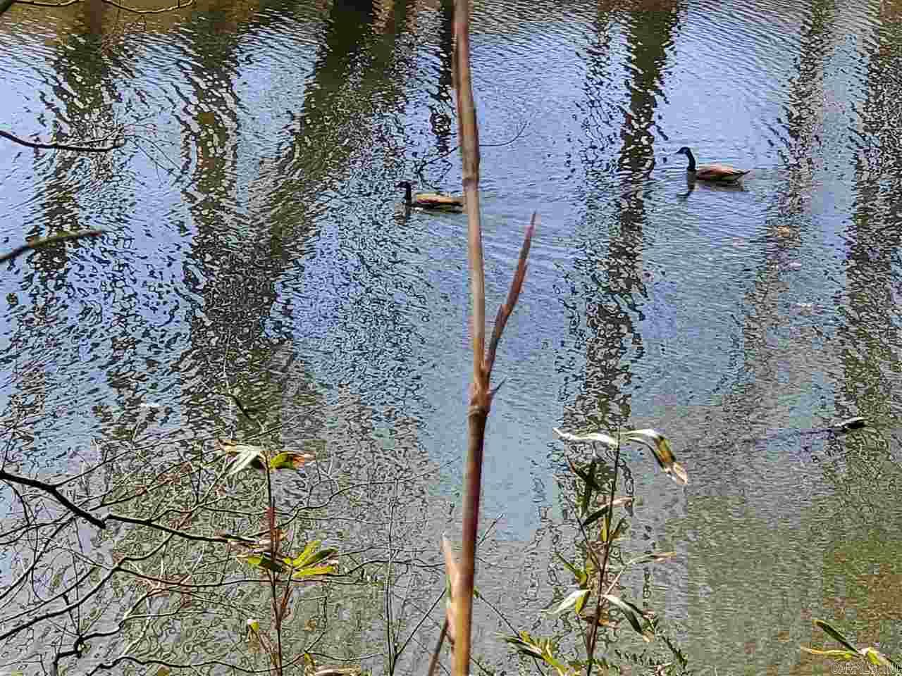 Oxbow Landing II - Land
