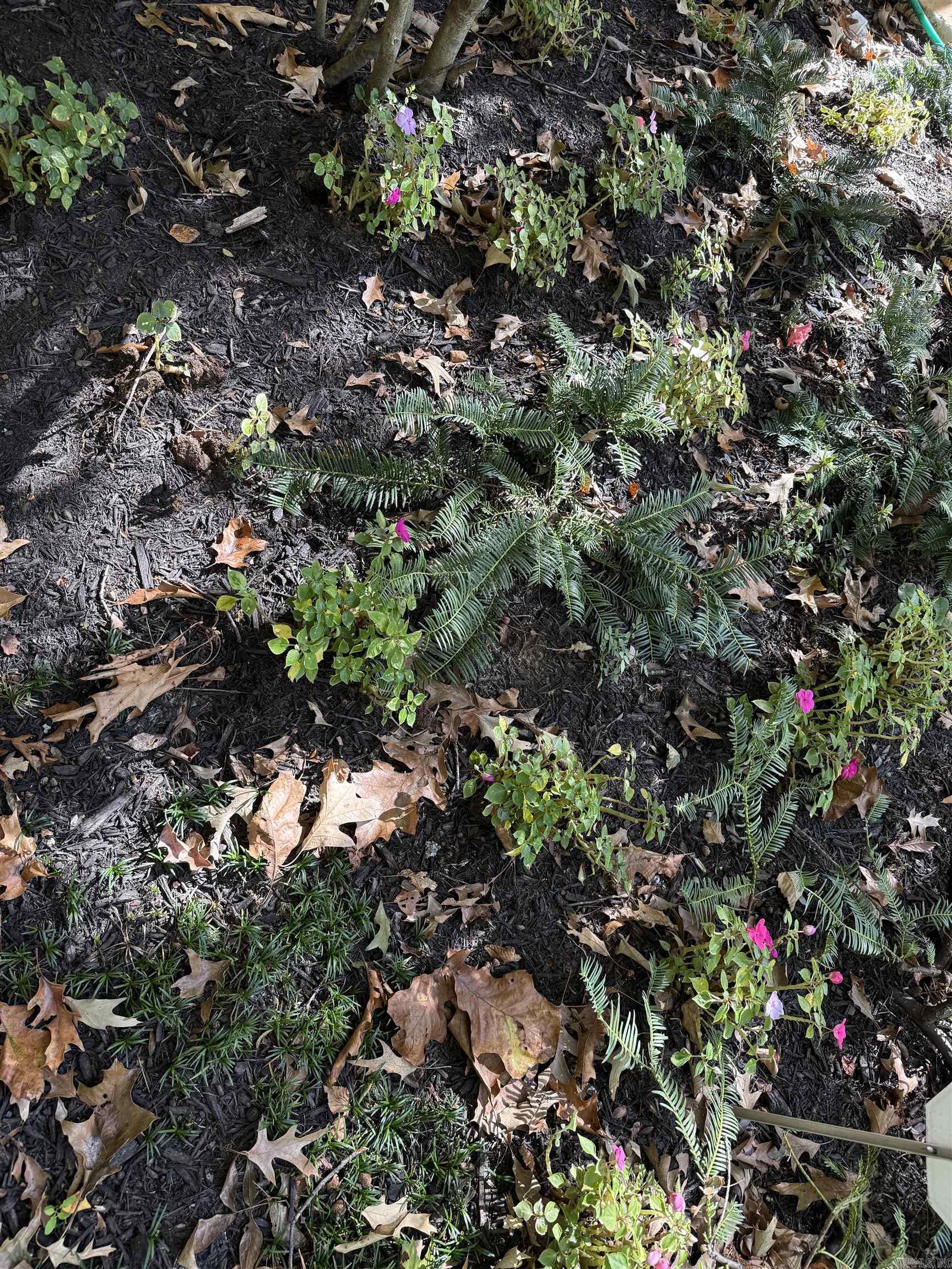 WASHINGTON HEIGHTS - Residential