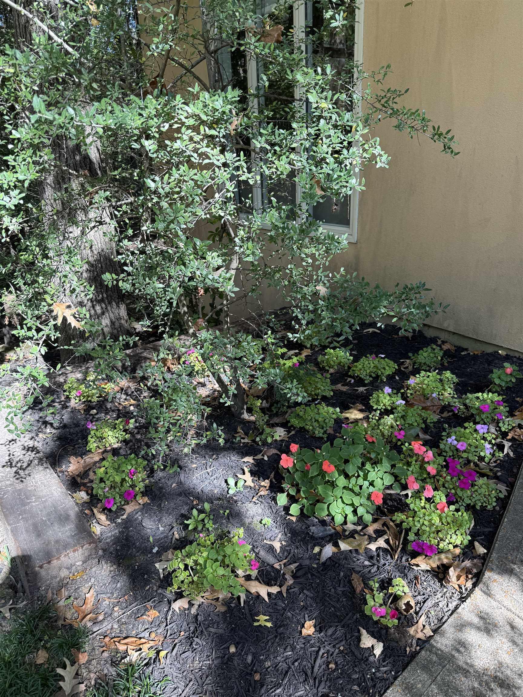 WASHINGTON HEIGHTS - Residential