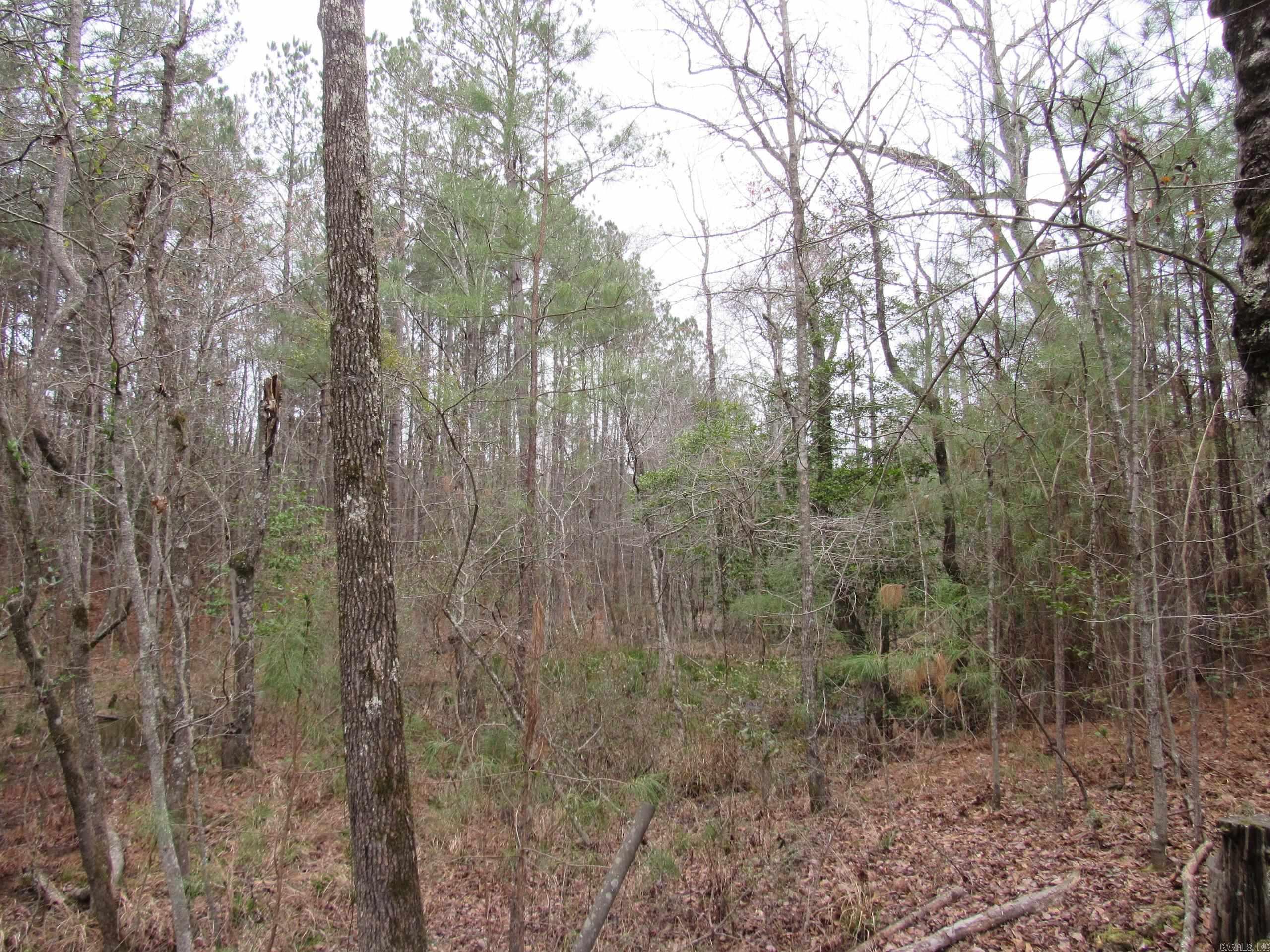 Not in Subdivision - Land