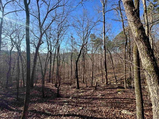 10 BEAR MOUNTAIN RD, PRIM, AR 72130 - Image 1e6c16a3c1075c52c28f3d86f0077dea/1496580524