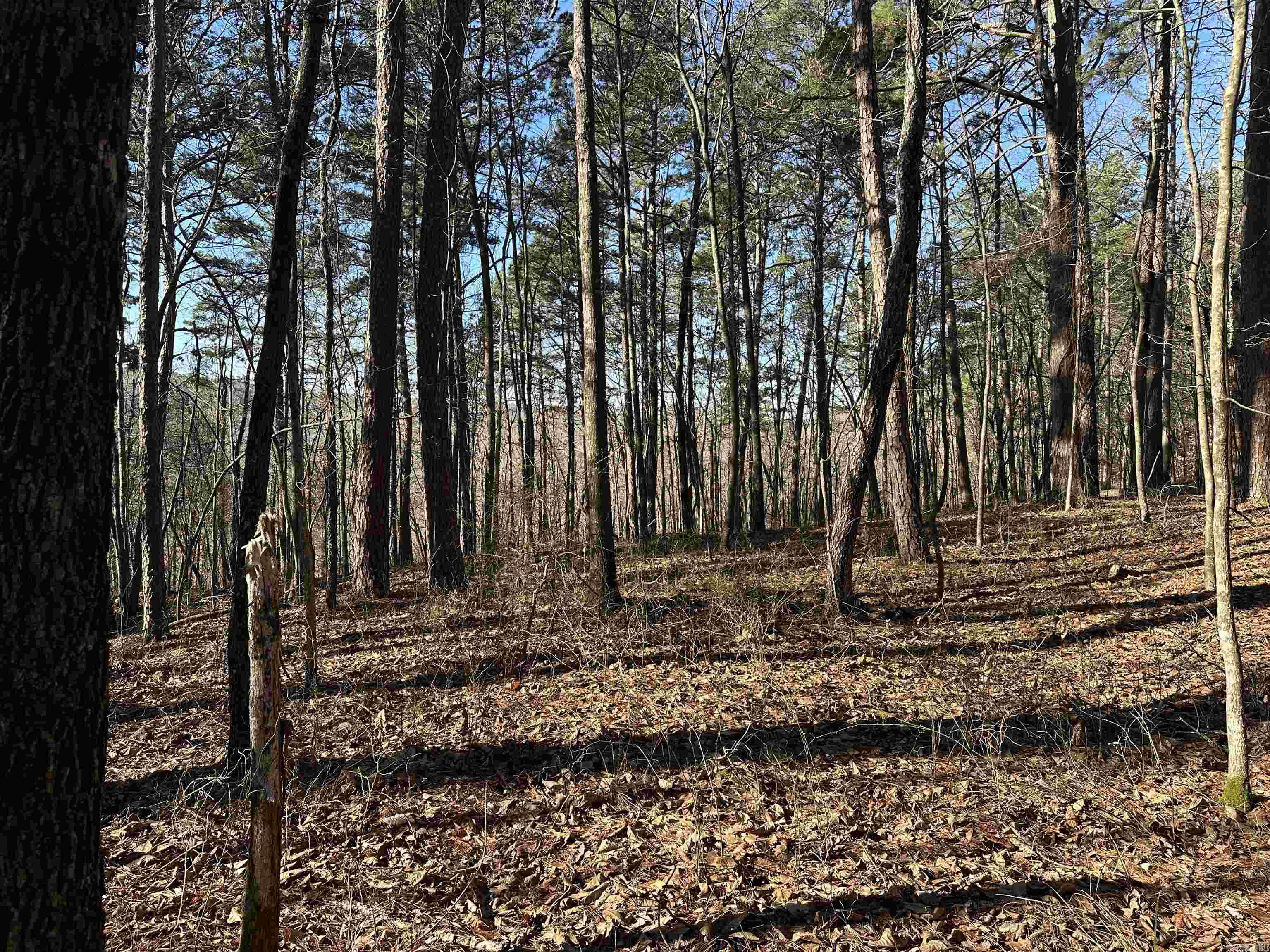 Metes & Bounds - Land