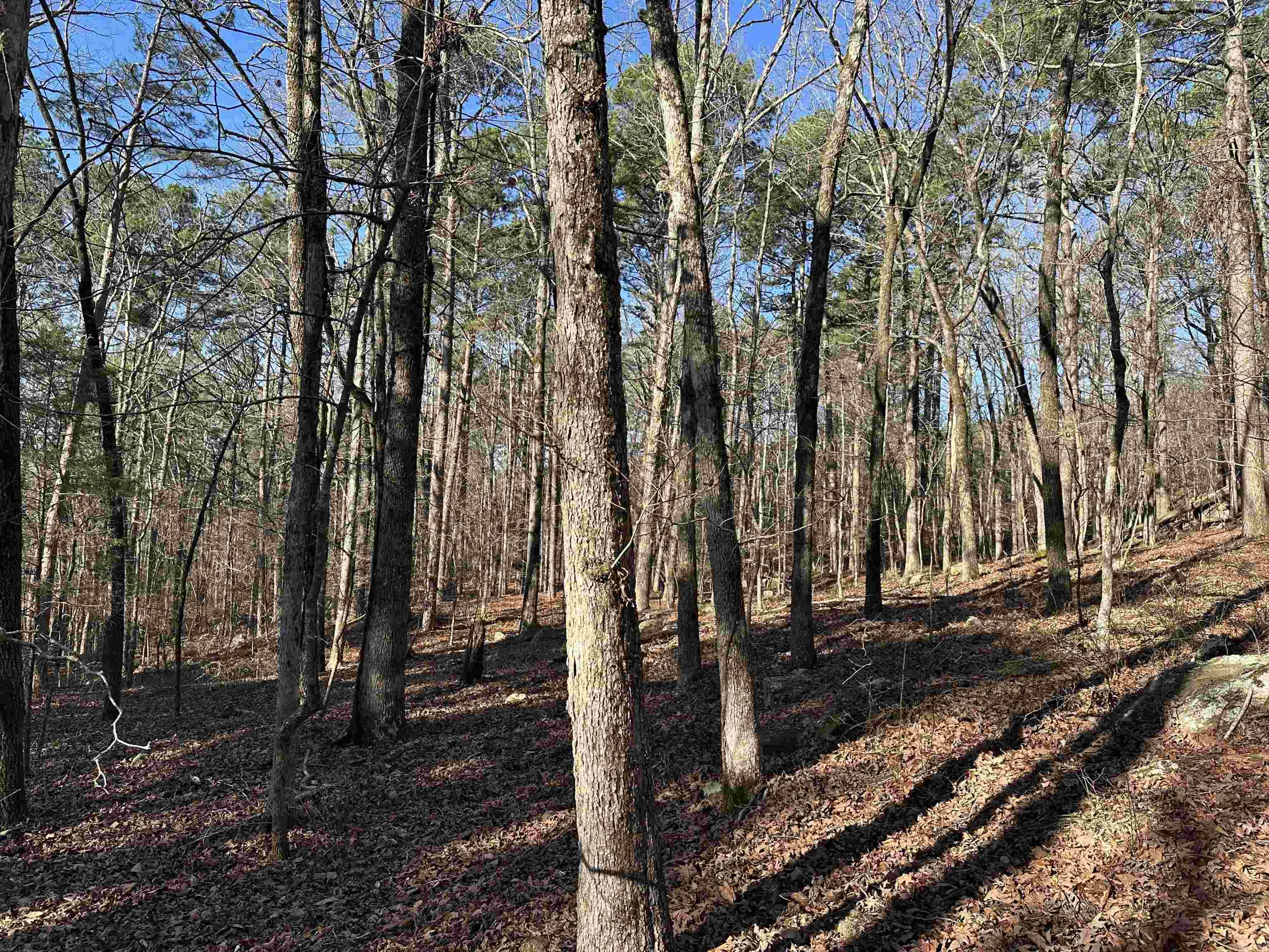 Metes & Bounds - Land