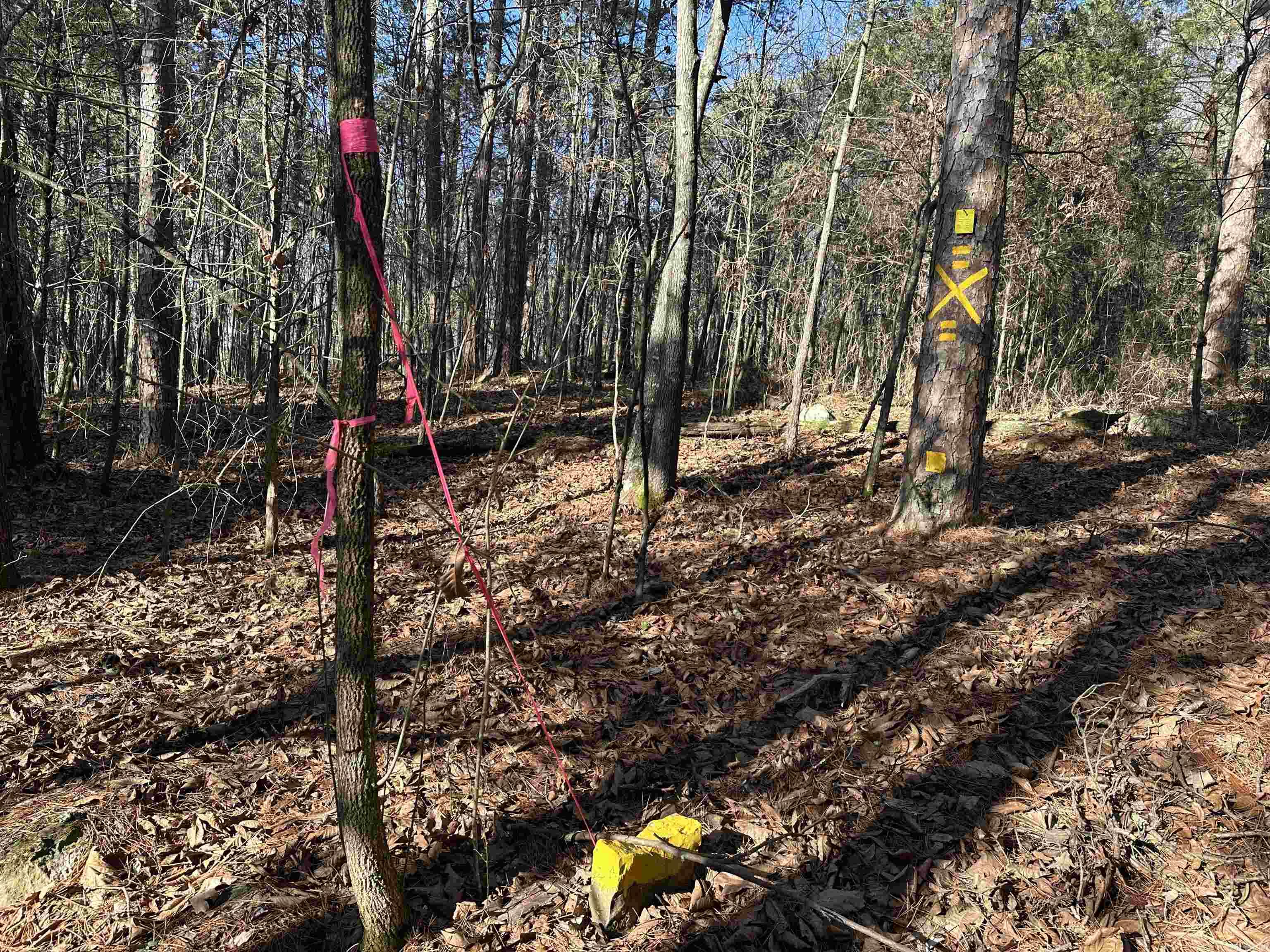 Metes & Bounds - Land