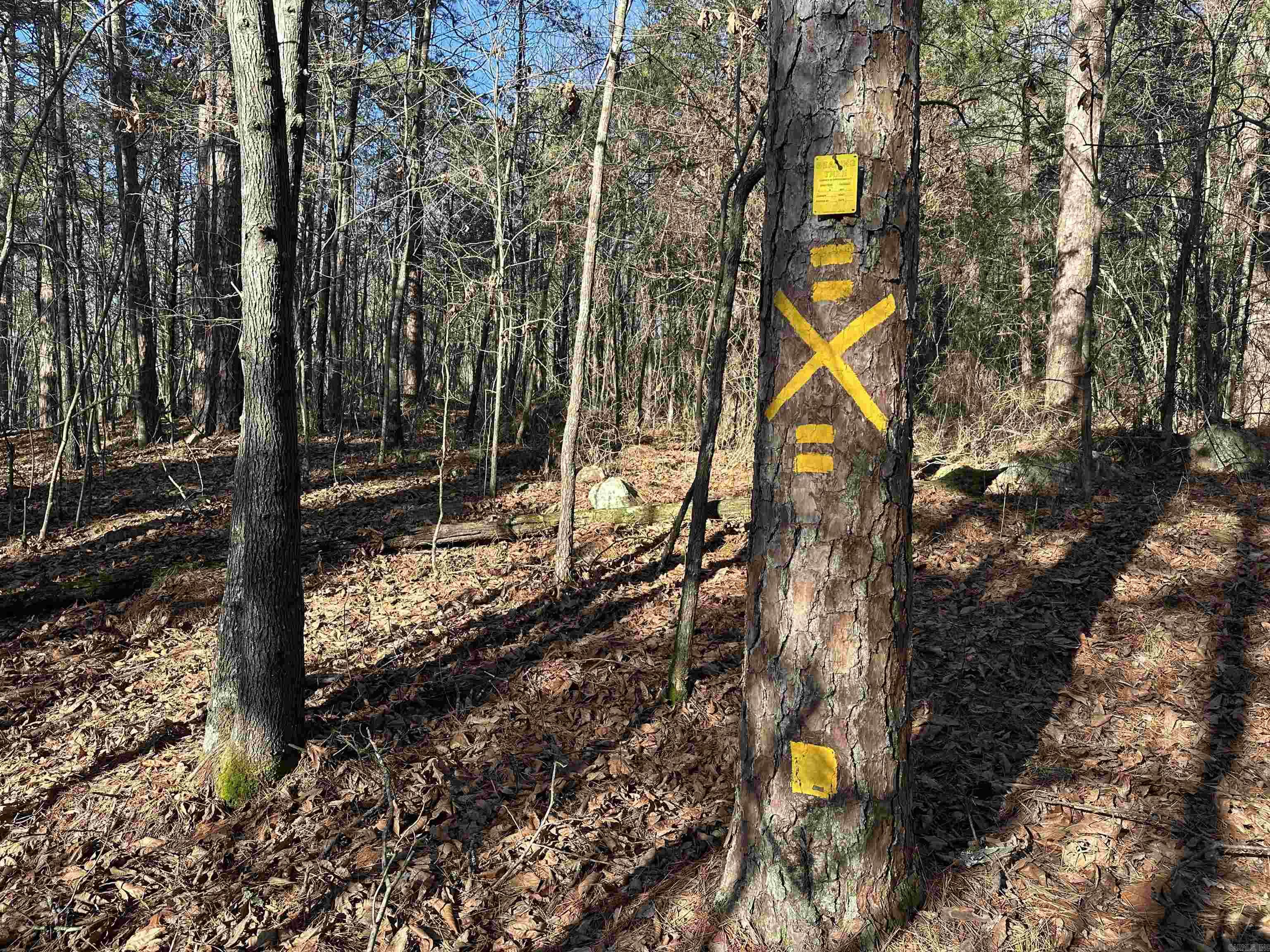 Metes & Bounds - Land