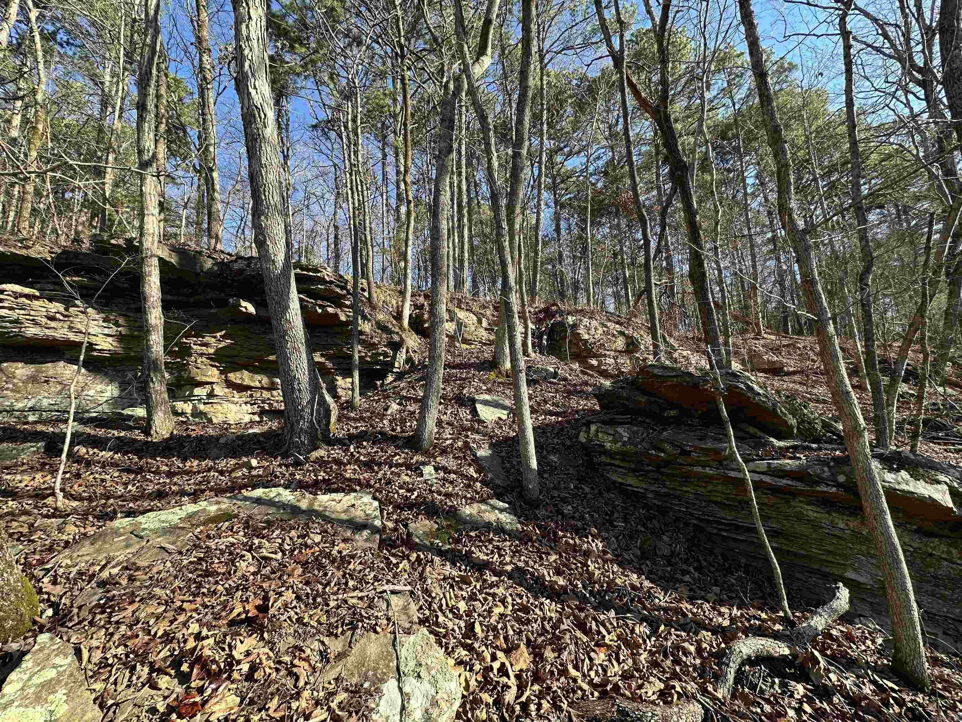 Metes & Bounds - Land