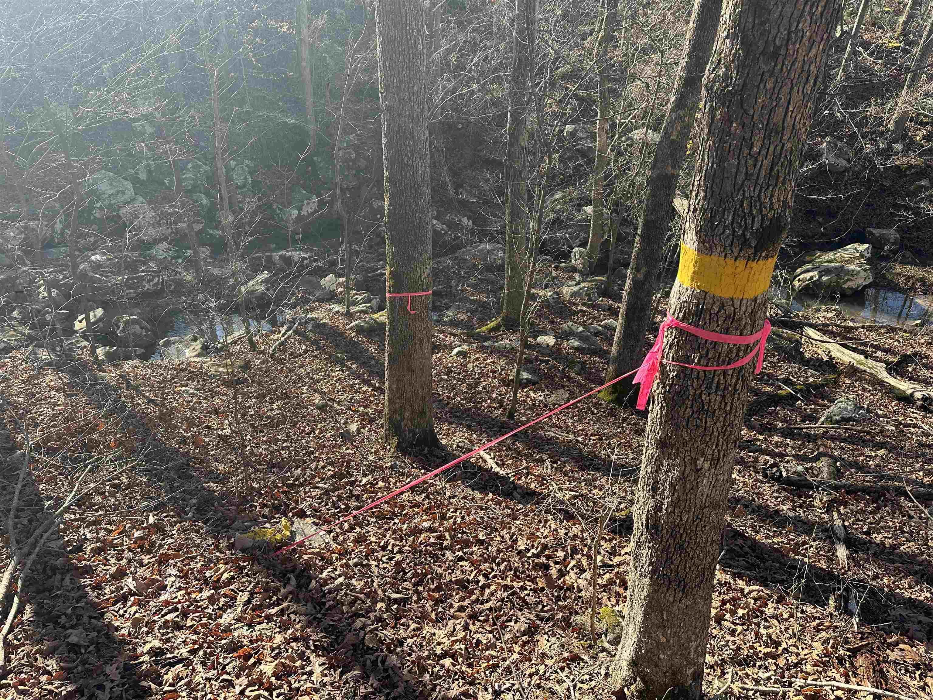 Metes & Bounds - Land