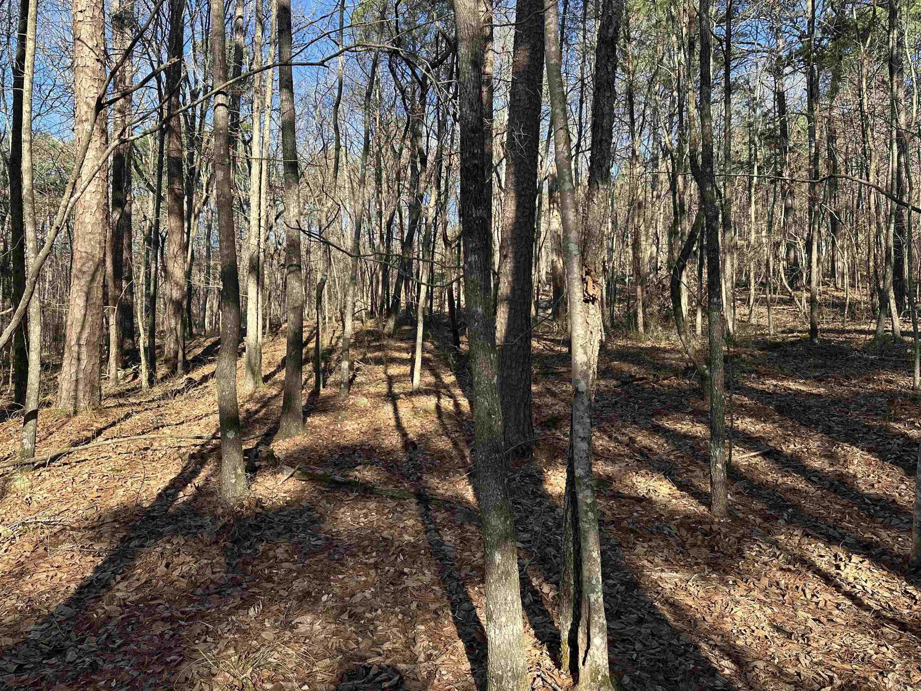 Metes & Bounds - Land