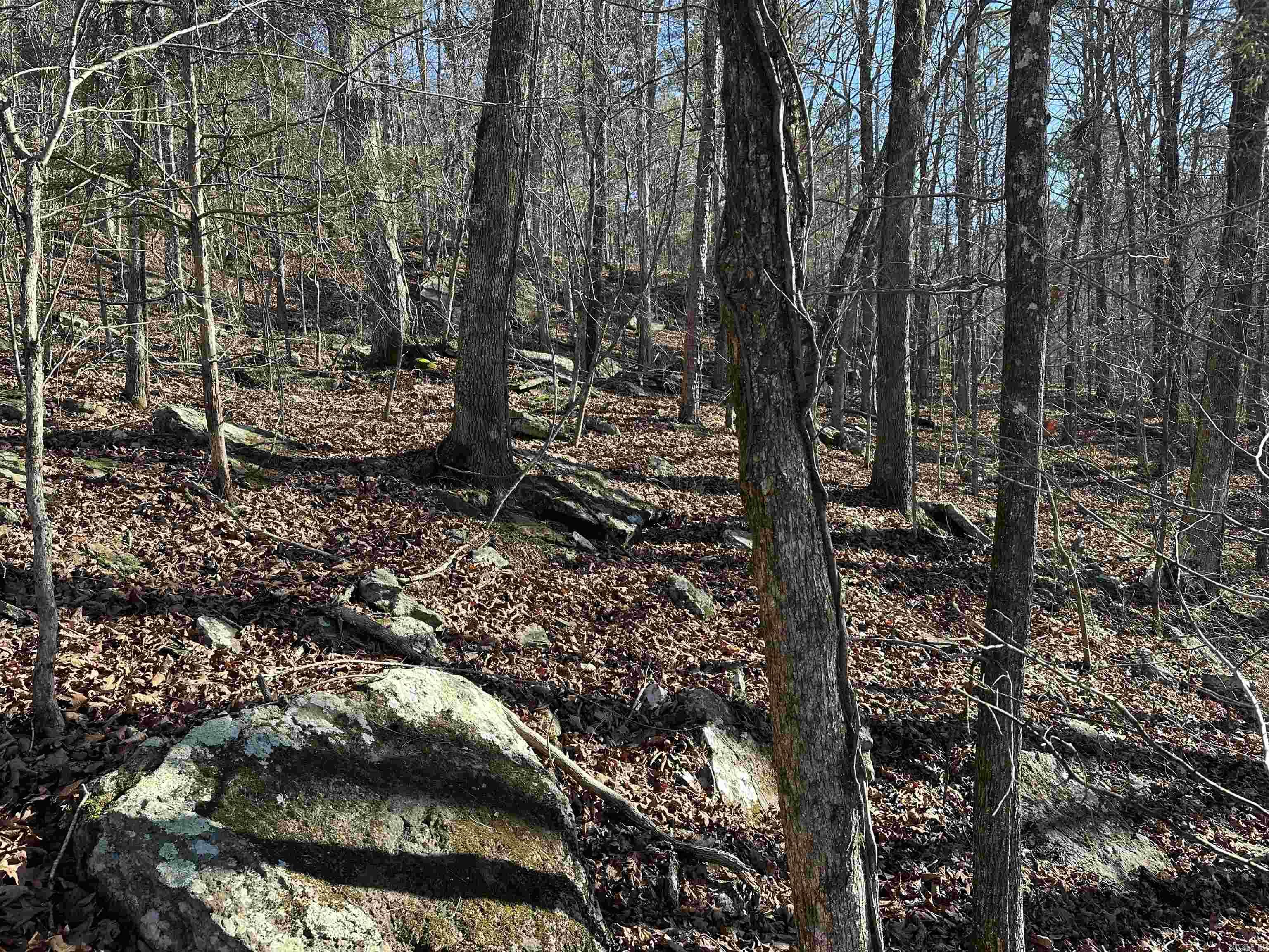 Metes & Bounds - Land