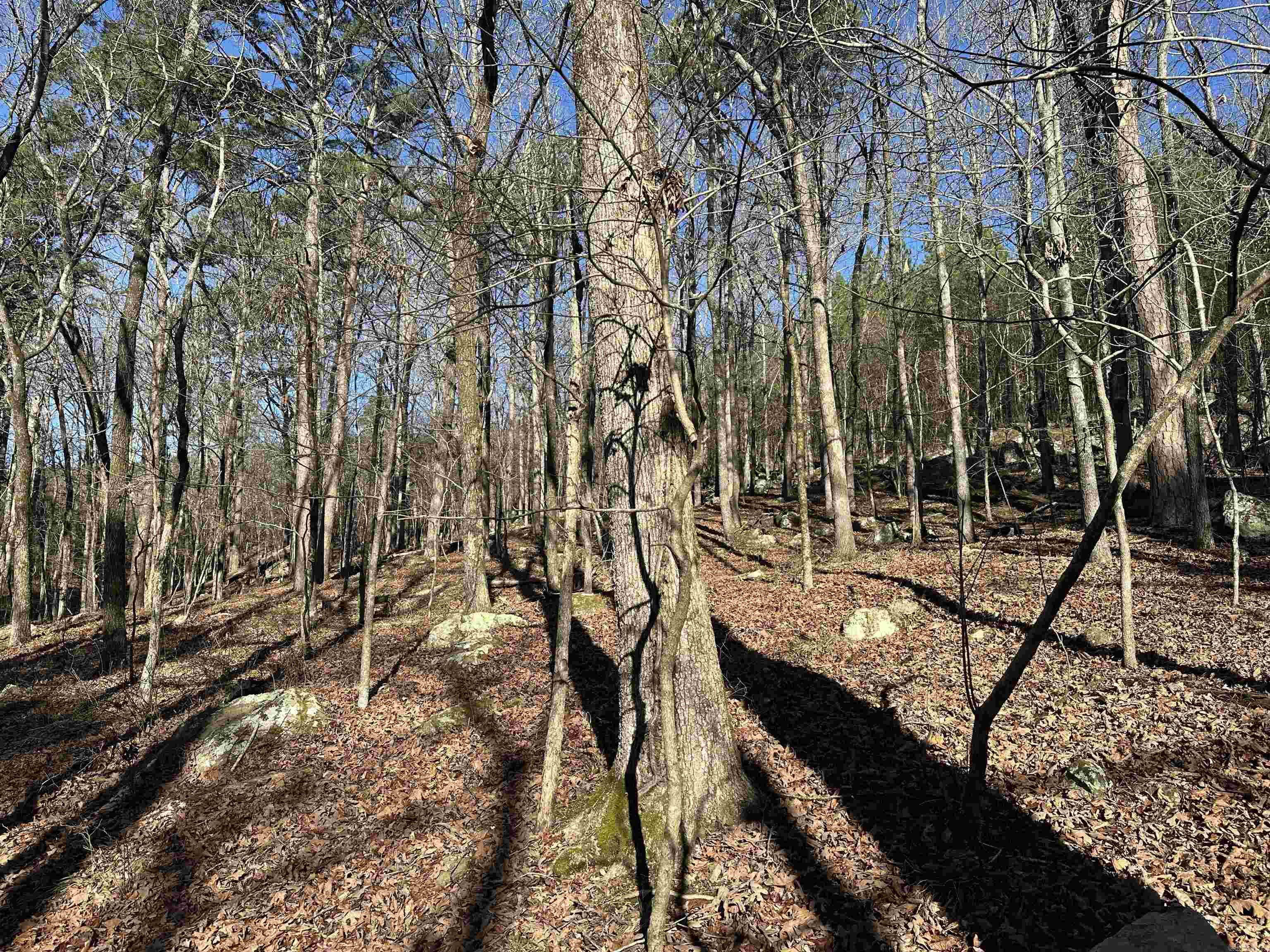 Metes & Bounds - Land