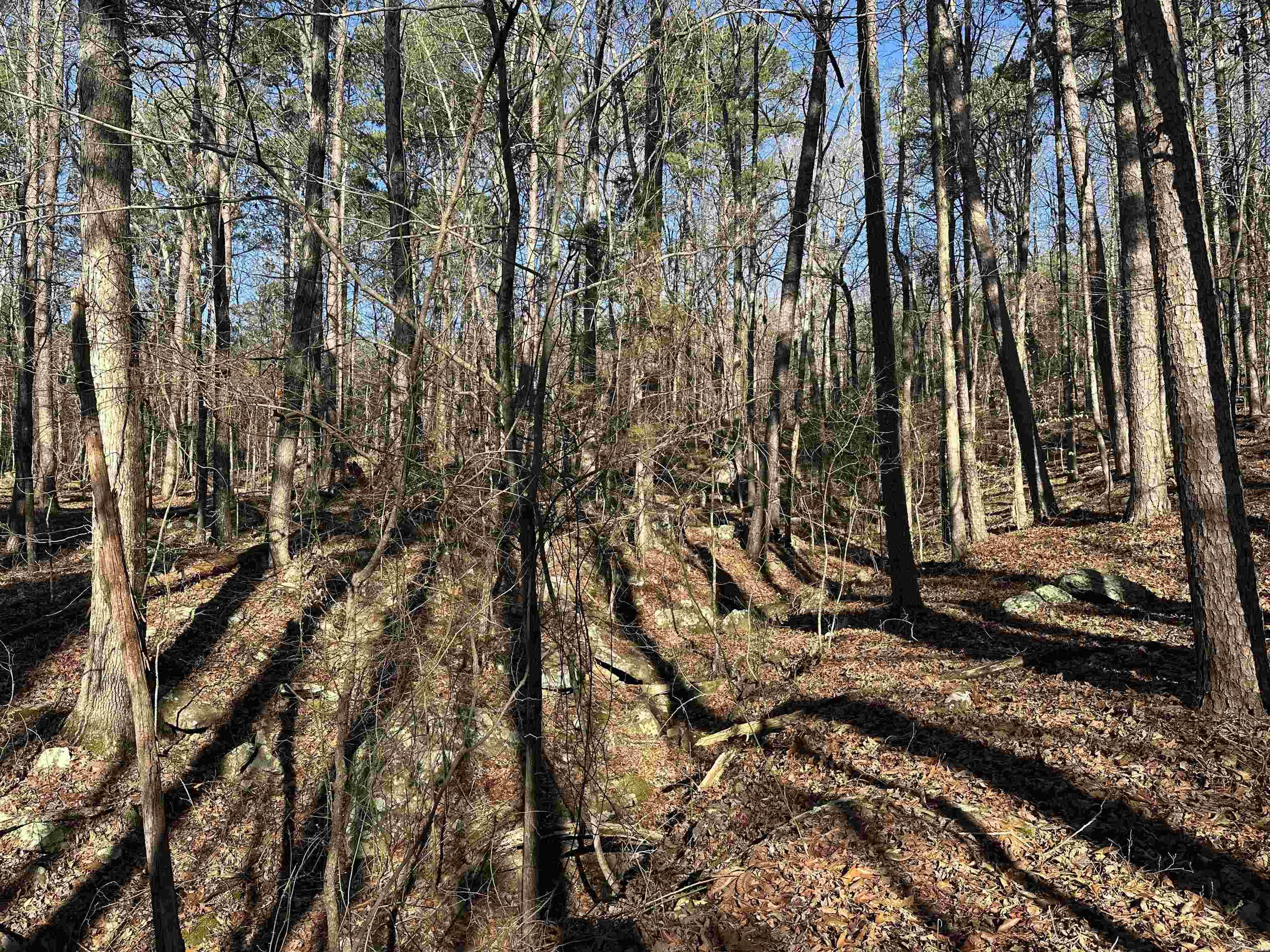 Metes & Bounds - Land