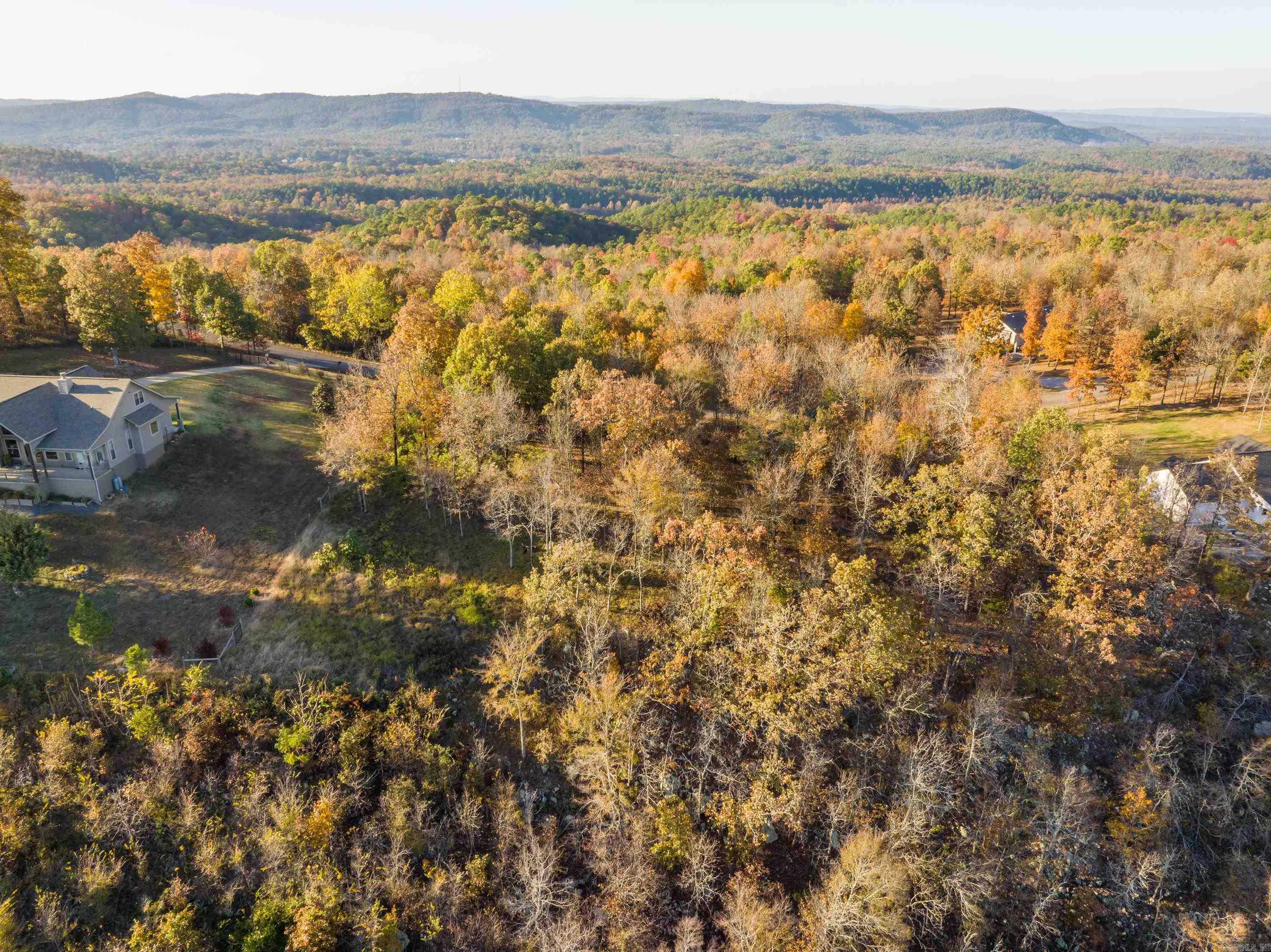 Bright Morning Star - Land