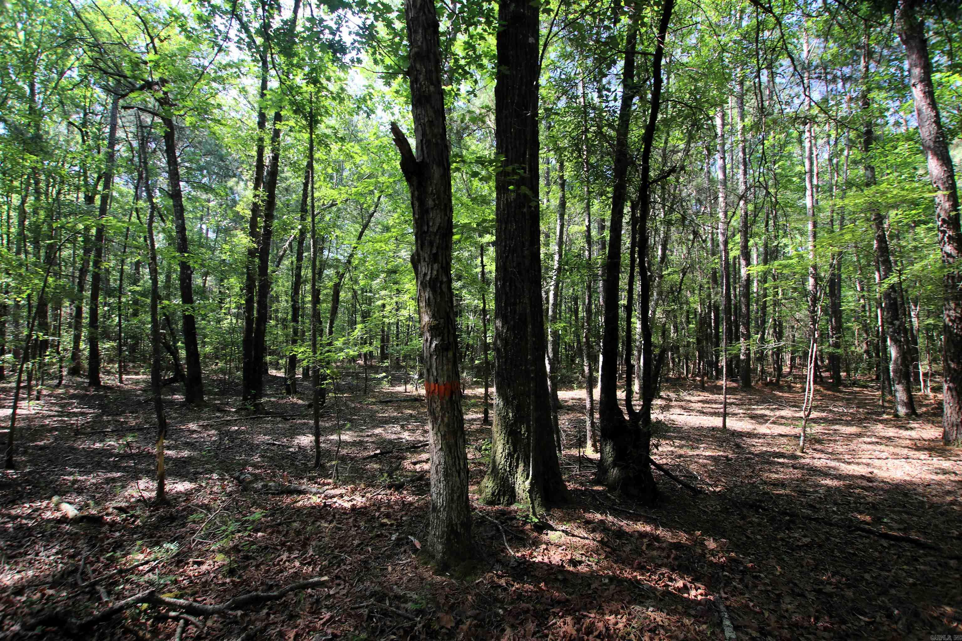 Not in Subdivision - Land
