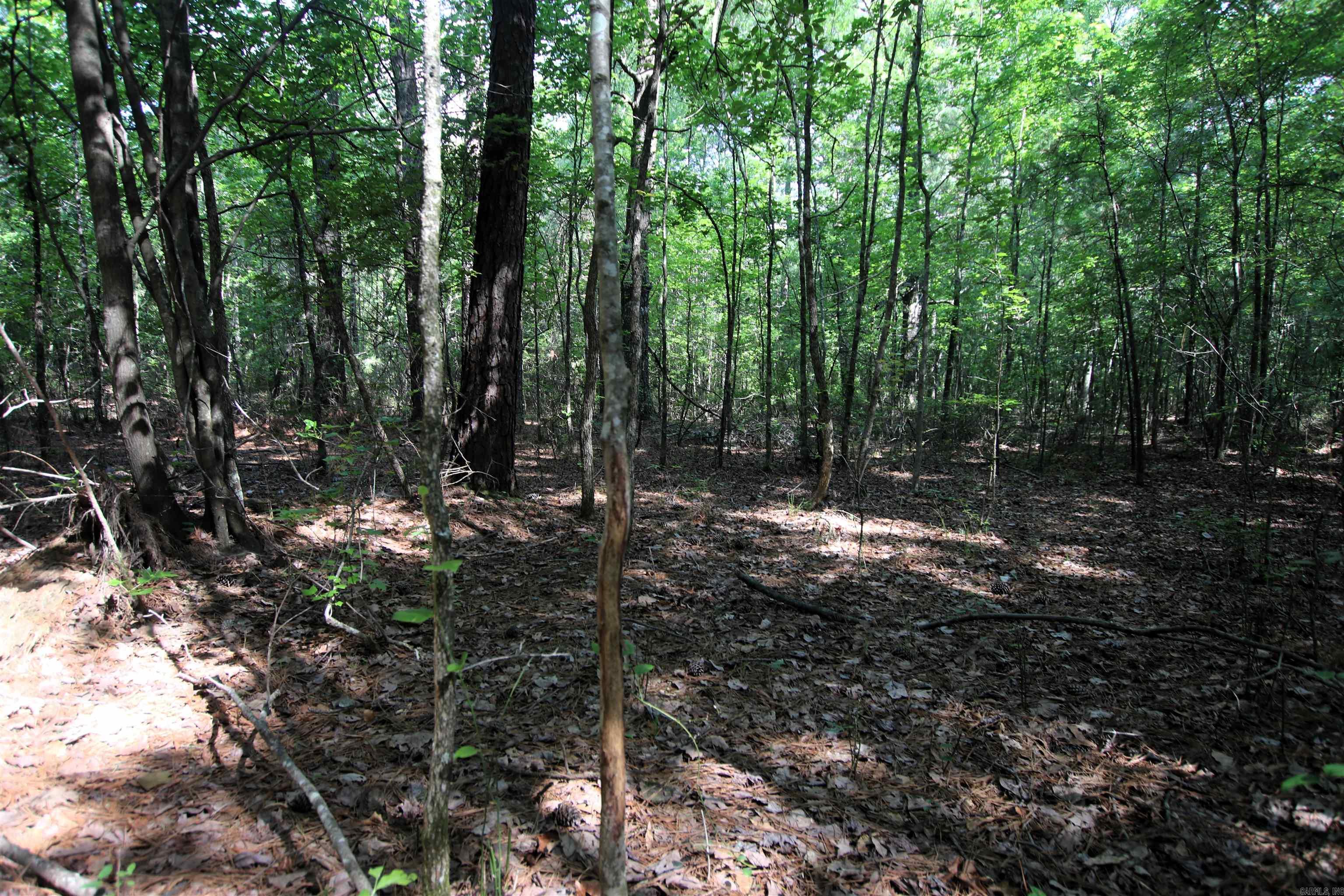 Not in Subdivision - Land