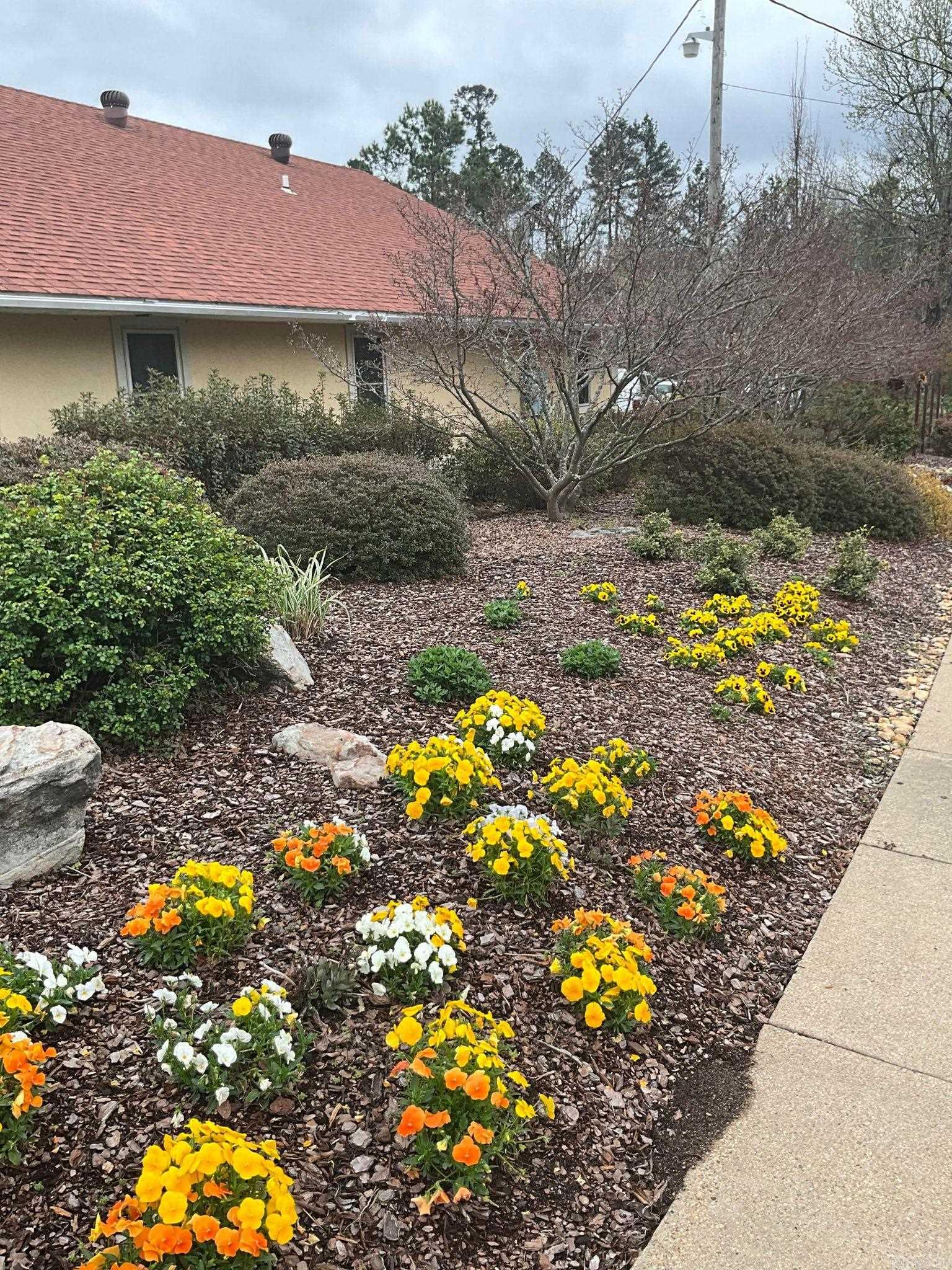 Wrights II - Commercial Sale