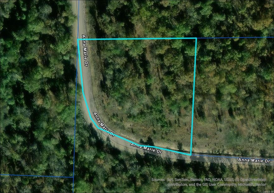 Quiet, peaceful, wooded setting with utilities available at the road, Anna Marie Drive is ready for you!  Make this gorgeous piece of Arkansas yours today! Note: Property is listed multiple ways, address is not the official address, just the lot number. *Lot lines are estimates and not survey accurate