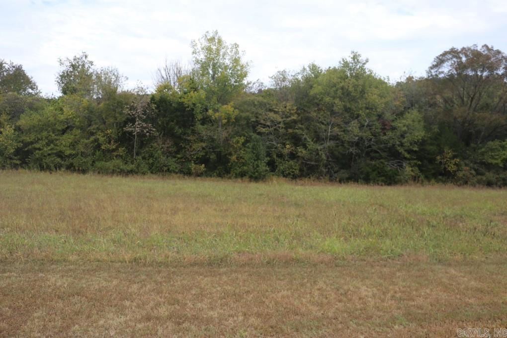 No.02291- Interior White River Subdivision Building Lot- This lot is cleared, level, and has power and water available. It is ready for you to start building your dream home. It has paved road frontage and the White River is just across the street. There is a public boat ramp just minutes from the property. Only 10 minutes from downtown Mountain View Arkansas, the Folk Music Capital of the World. There are restrictions to protect your investments and there is a 1600 minimum square footage requirement. $20,000