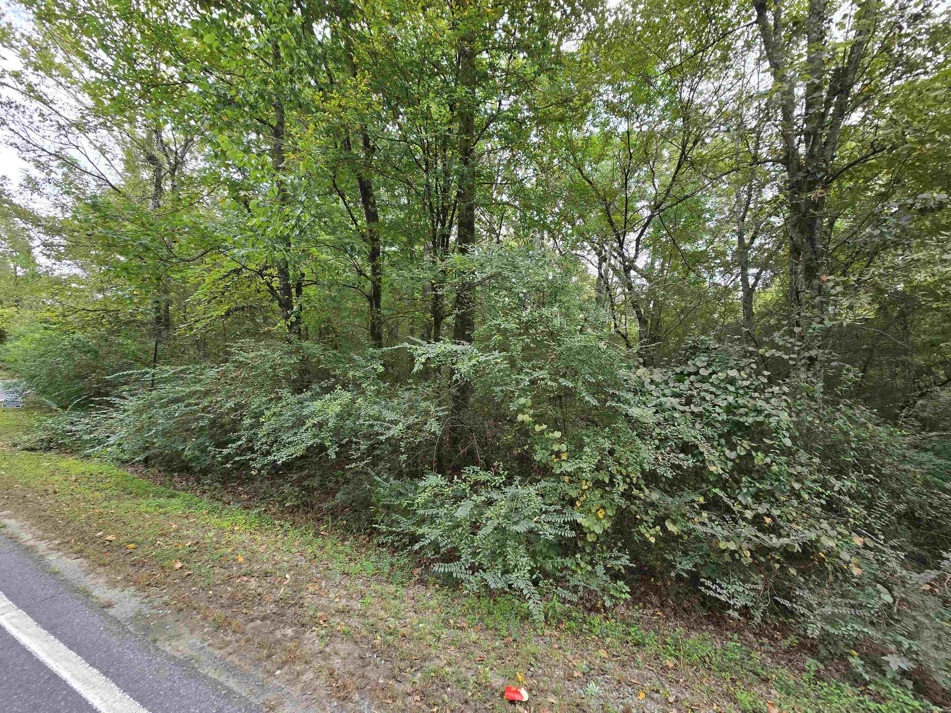 Fantastic Opportunity to own 8.32 acres in the middle of Little Rock - The property is split by 36th Street and zoned residential. Please call listing agent for more information.